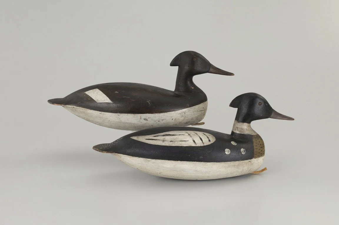 The Hillman-Truex Merganser Pair, Levi Rhodes Truex (1860-1934), Atlantic City, NJ, c. 1900