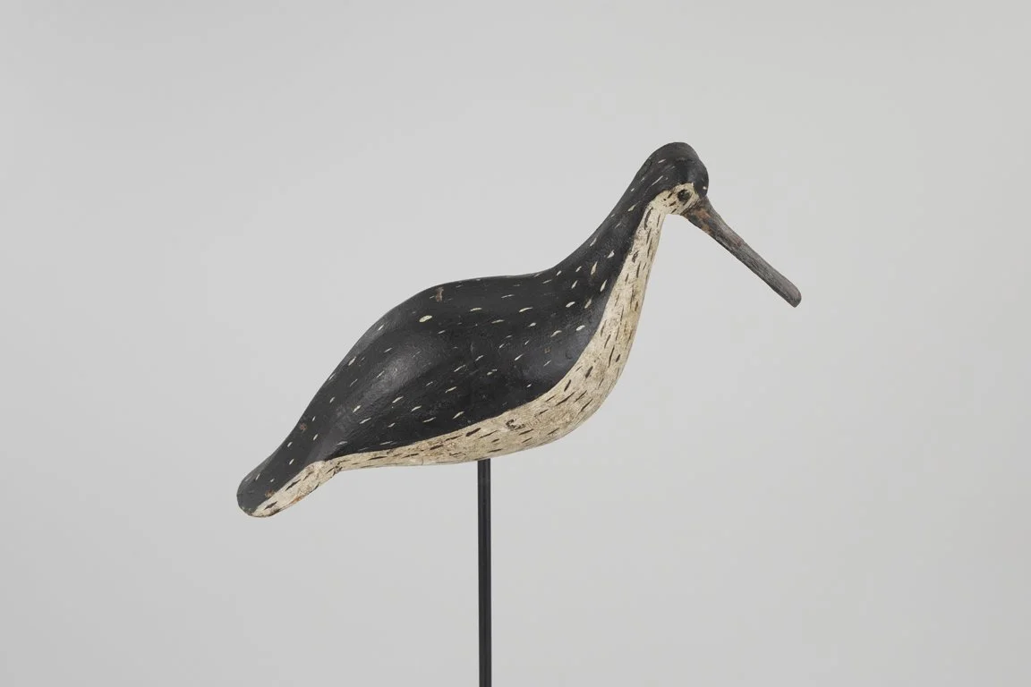 The Earnest-Nelson Clark Greater Yellowlegs by Charles S. Clark (1869-1947), Chincoteague, VA, c. 1890