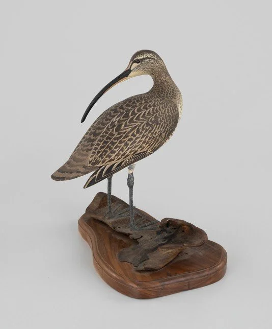 The Purnell-Aitken Ward Preening Curlew by Lemuel T. Ward (1896-1984), Crisfield, MD, 1953