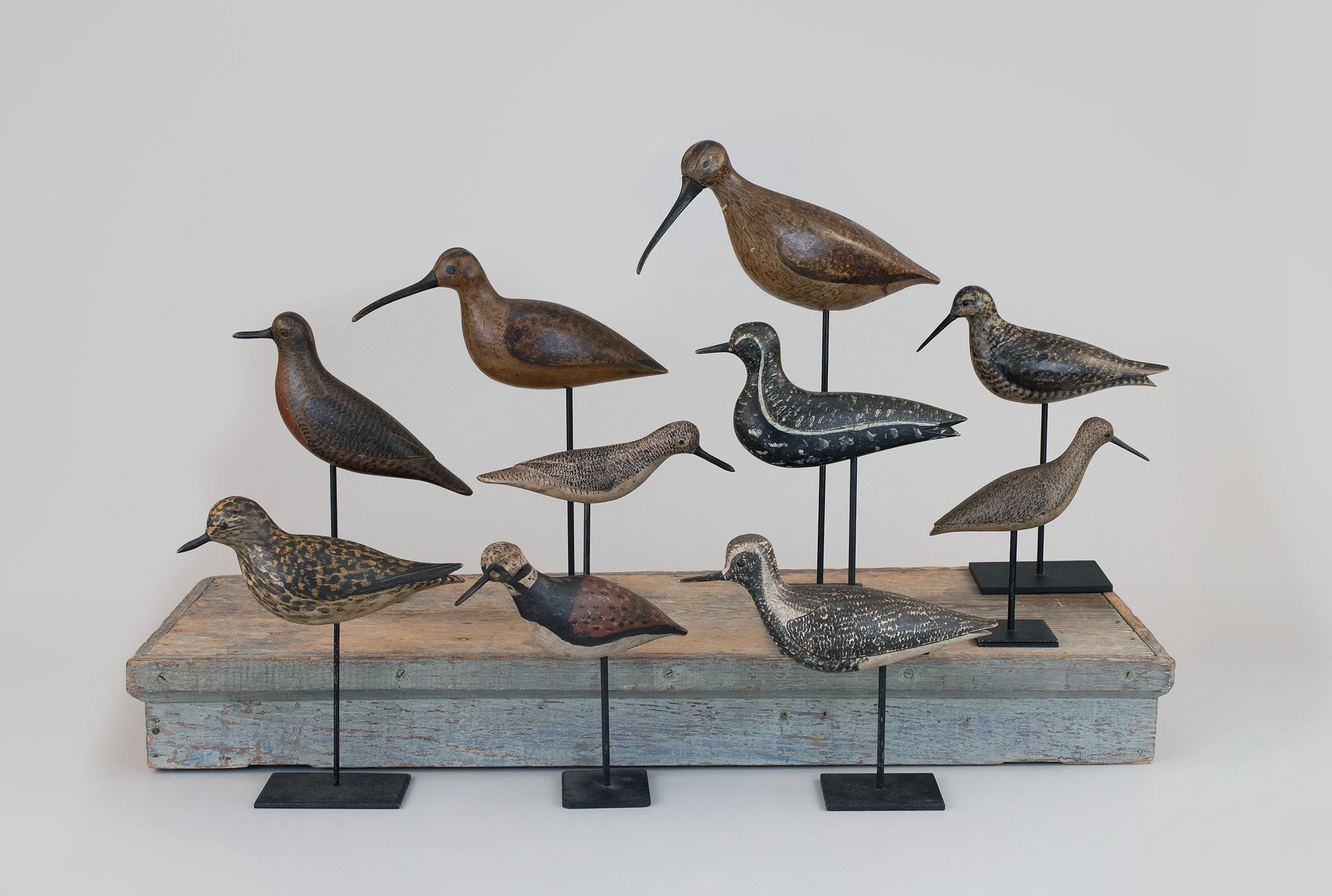 Henry Bishop Collection of shorebird decoys