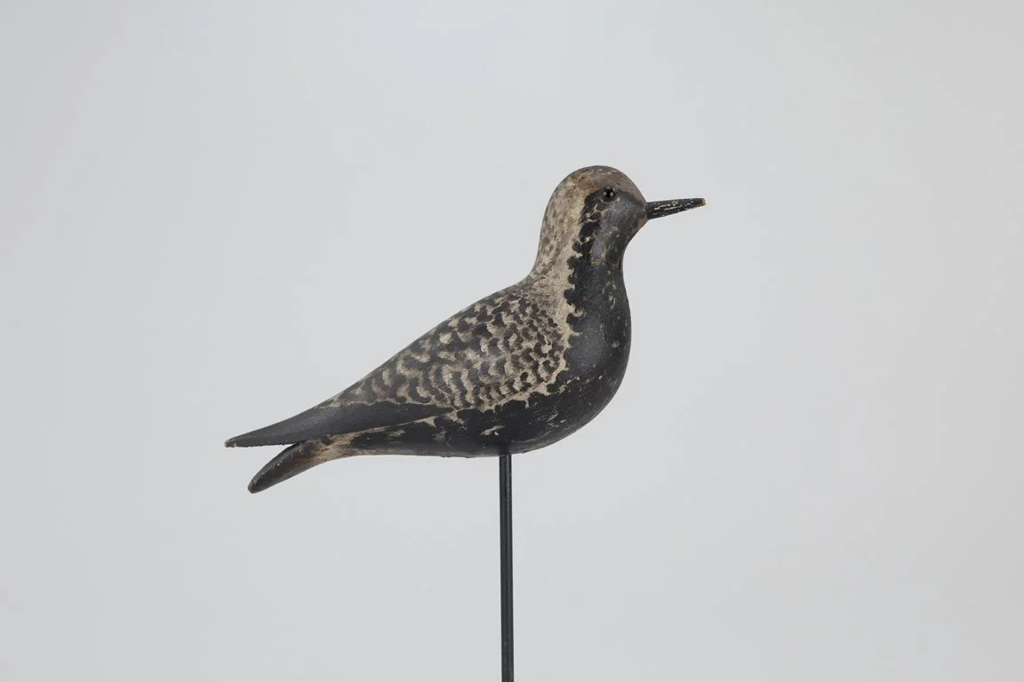 P.W.W. Black-Bellied Plover Decoy by A. Elmer Crowell (1862-1952), East Harwich, MA, c. 1910