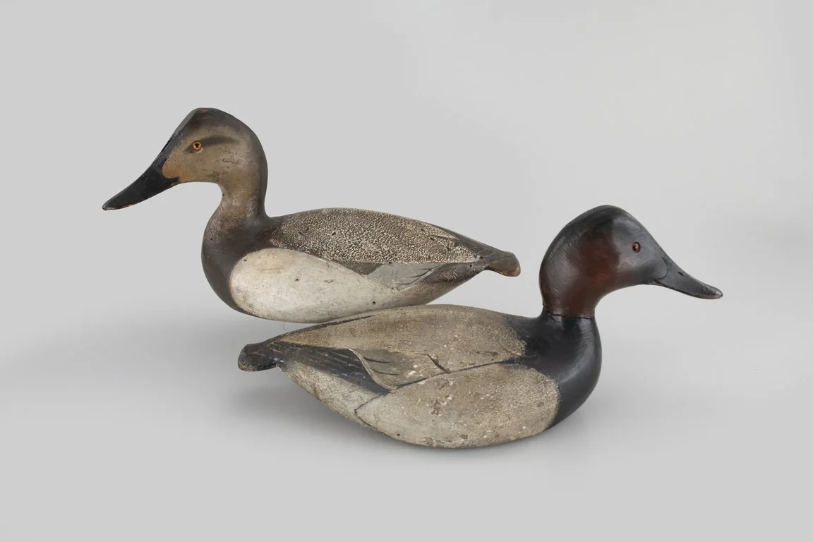 Glenn L. Martin Rig Canvasback Decoy Pair by the Ward Brothers