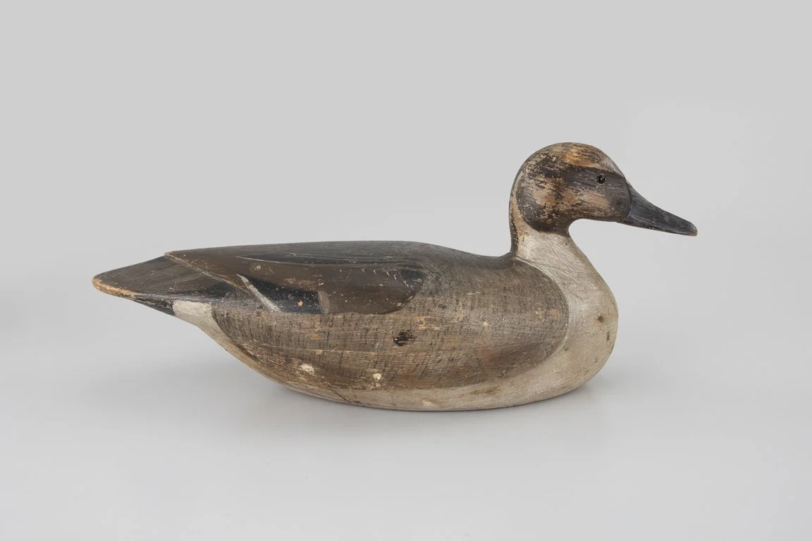 Pintail Drake Decoy by Dave "Umbrella" Watson (1851-1938), Chincoteague, VA, c. 1925
17 1/4 in. long