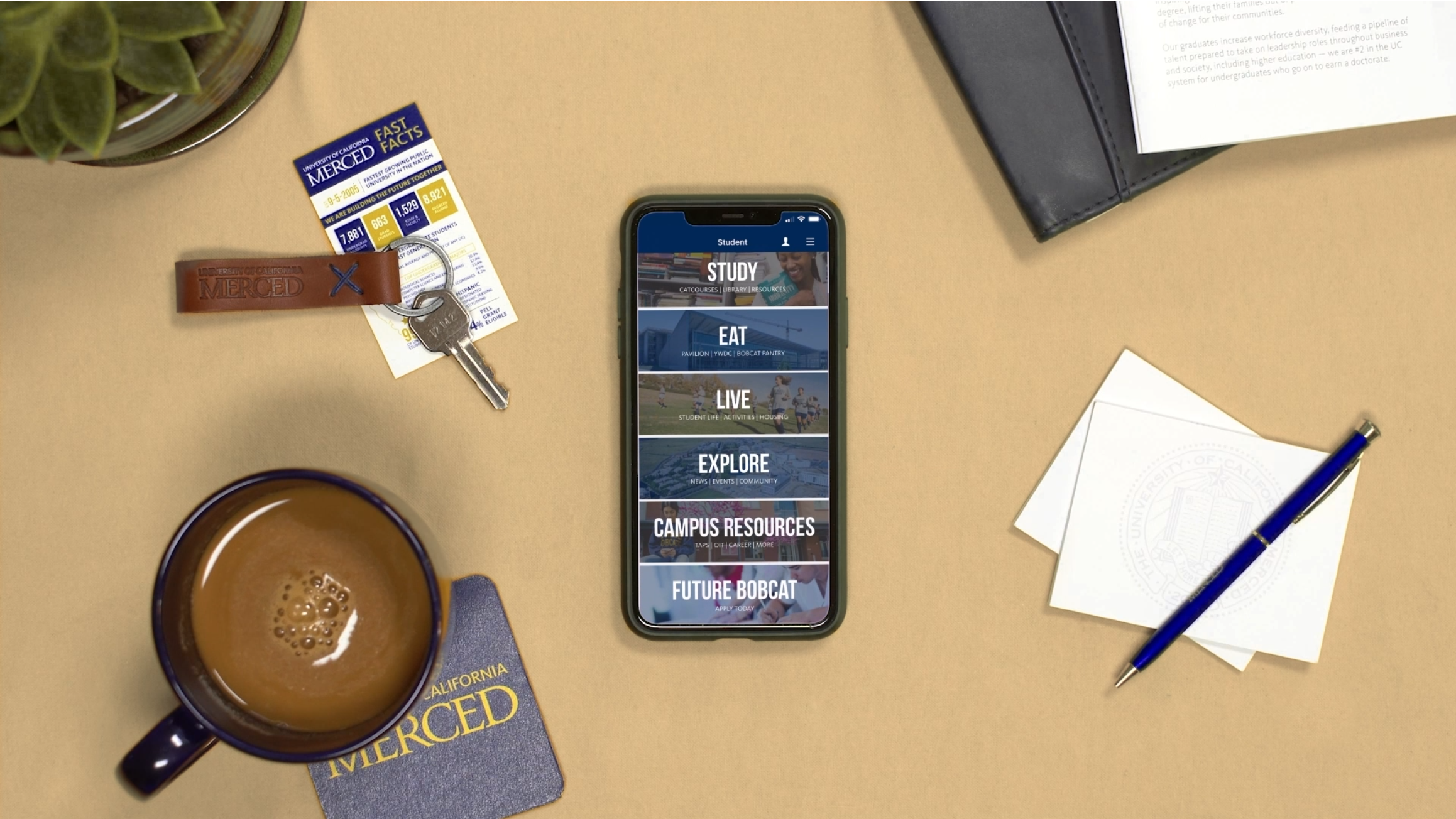 Social Media Content