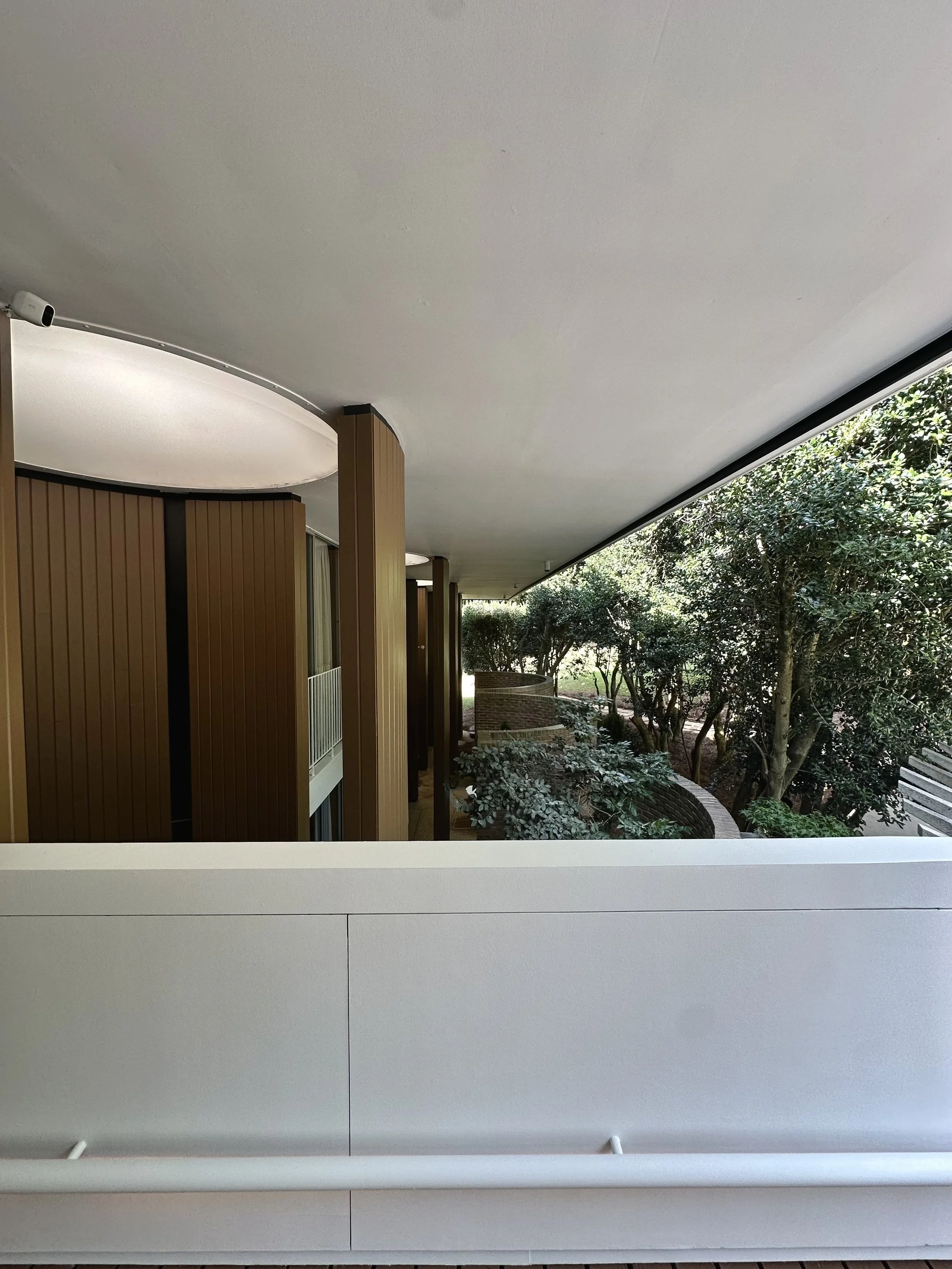 entelechy corridor.jpg