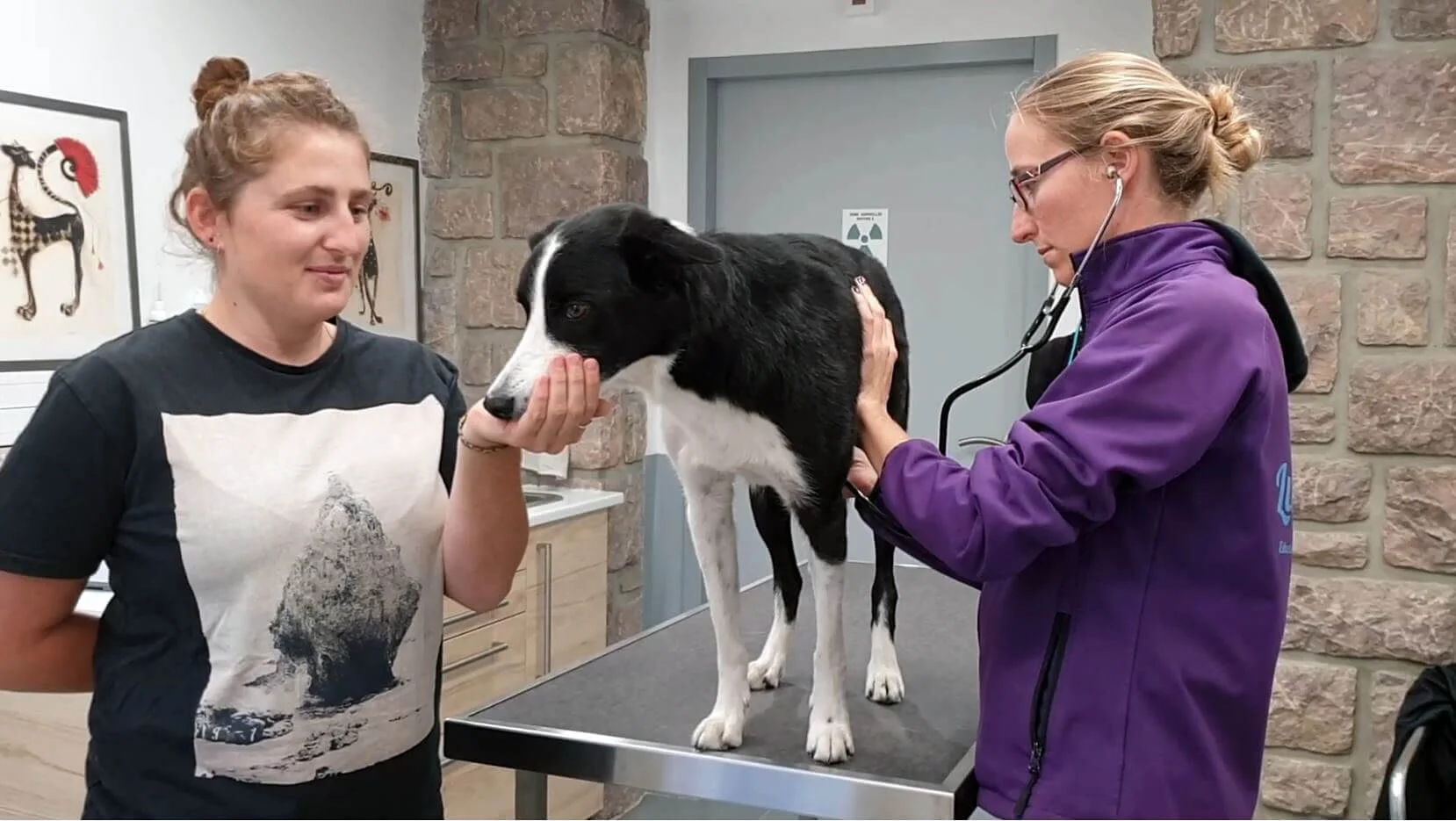 simulation stetoscope.jpeg