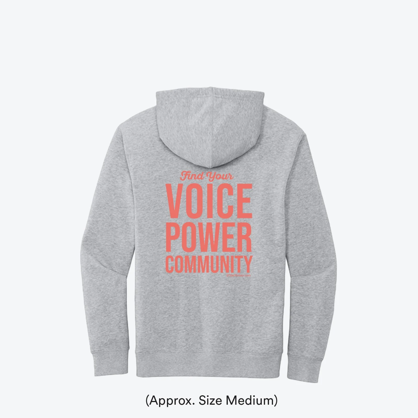 DT6100 hoodie back.jpg