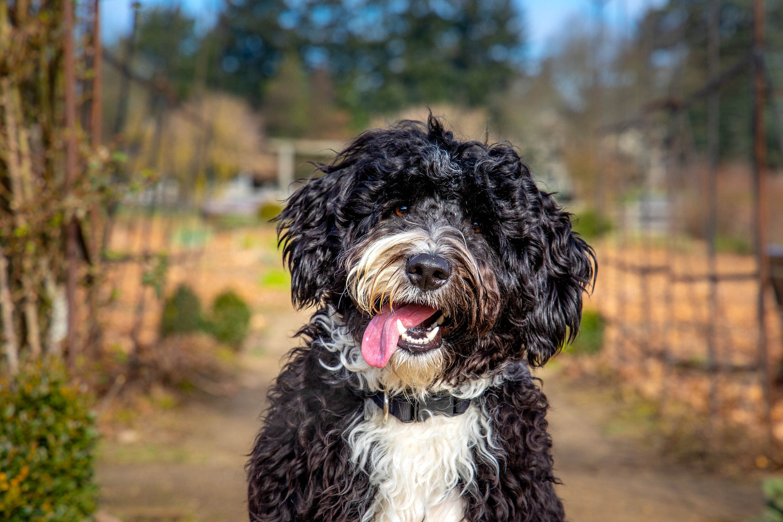 ANPS Callibrated edits-23.jpg