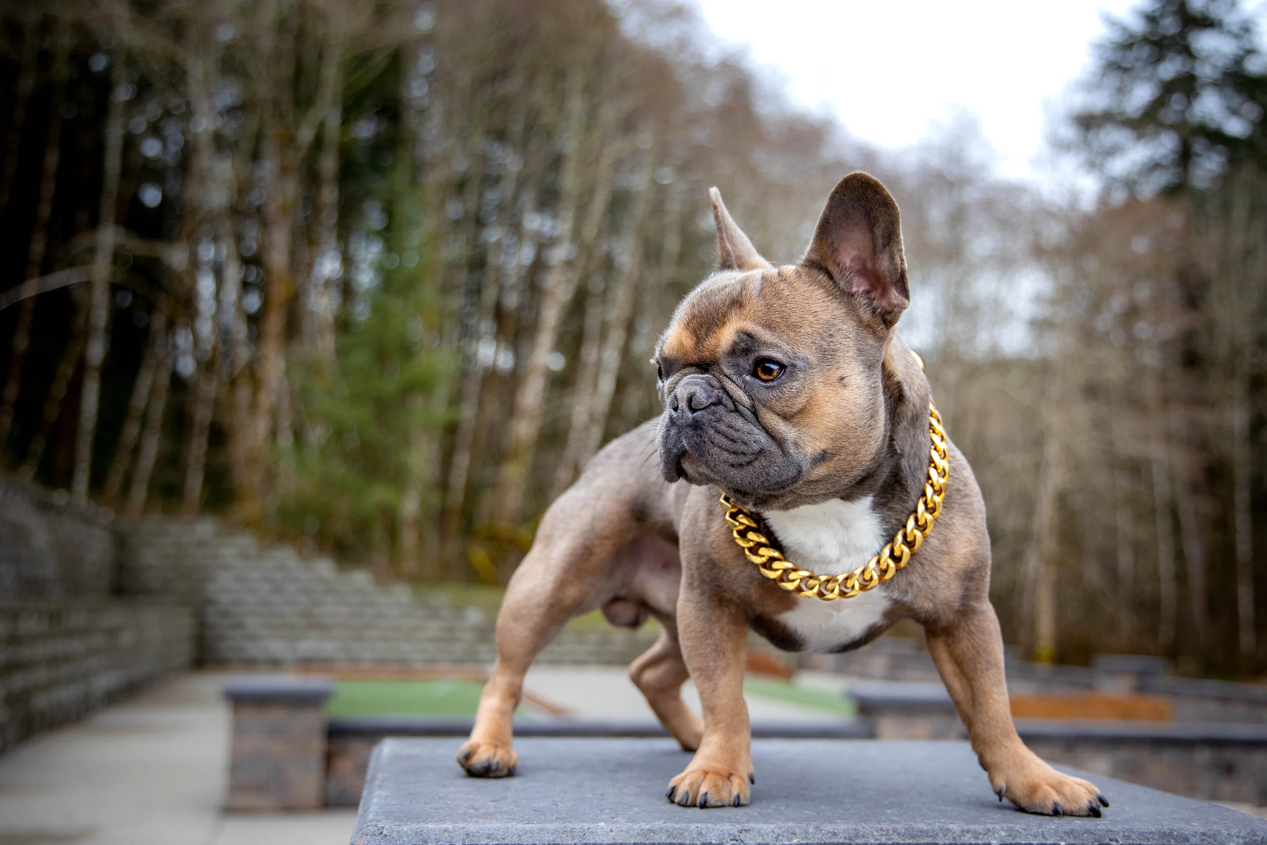 Barry - re-edit B.jpg