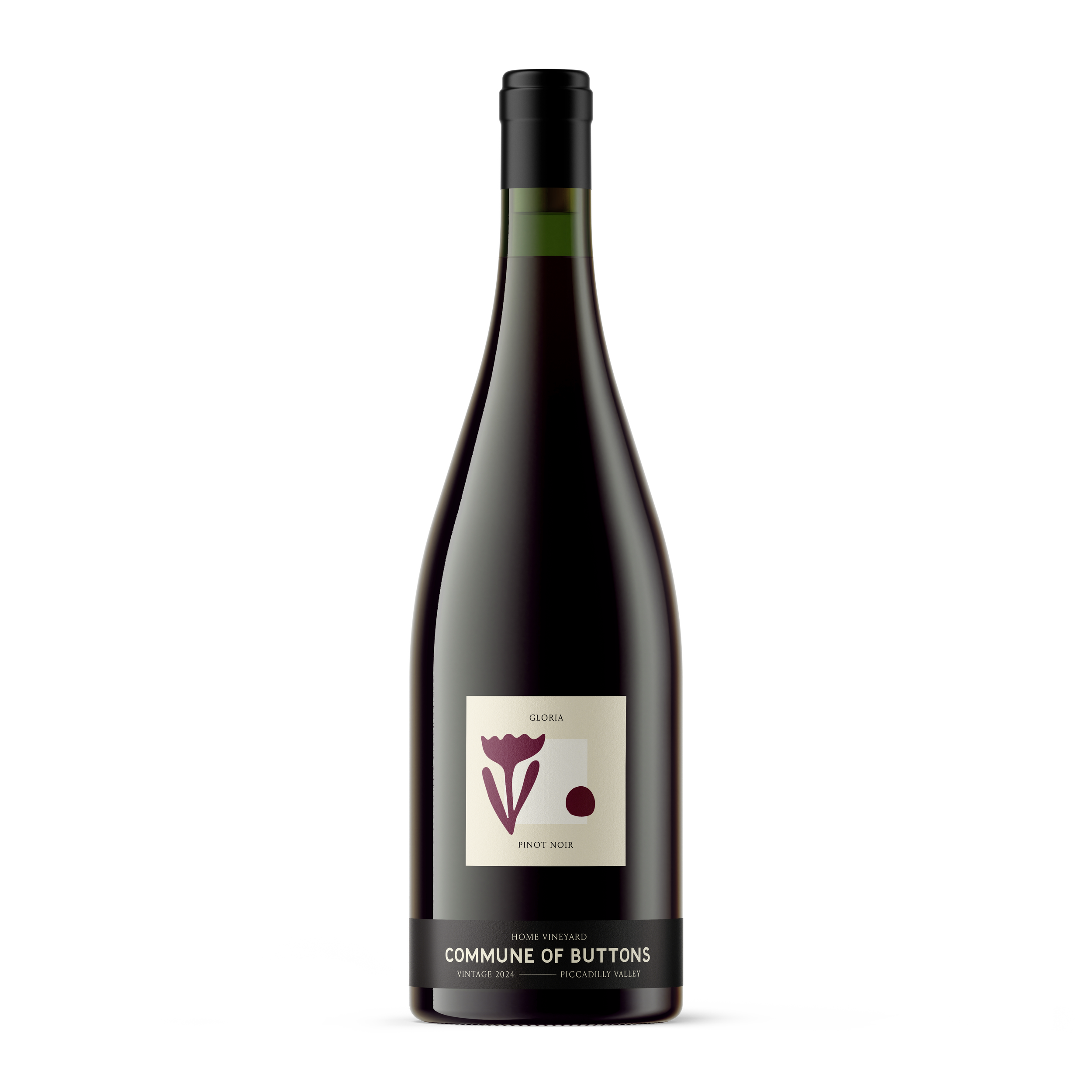 Gloria Pinot 2024