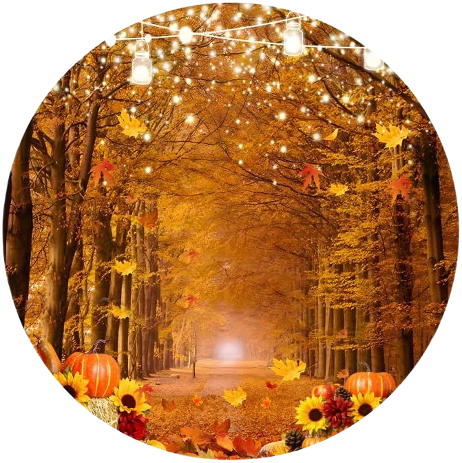 Fall Lights (Circle Backdrop Only)