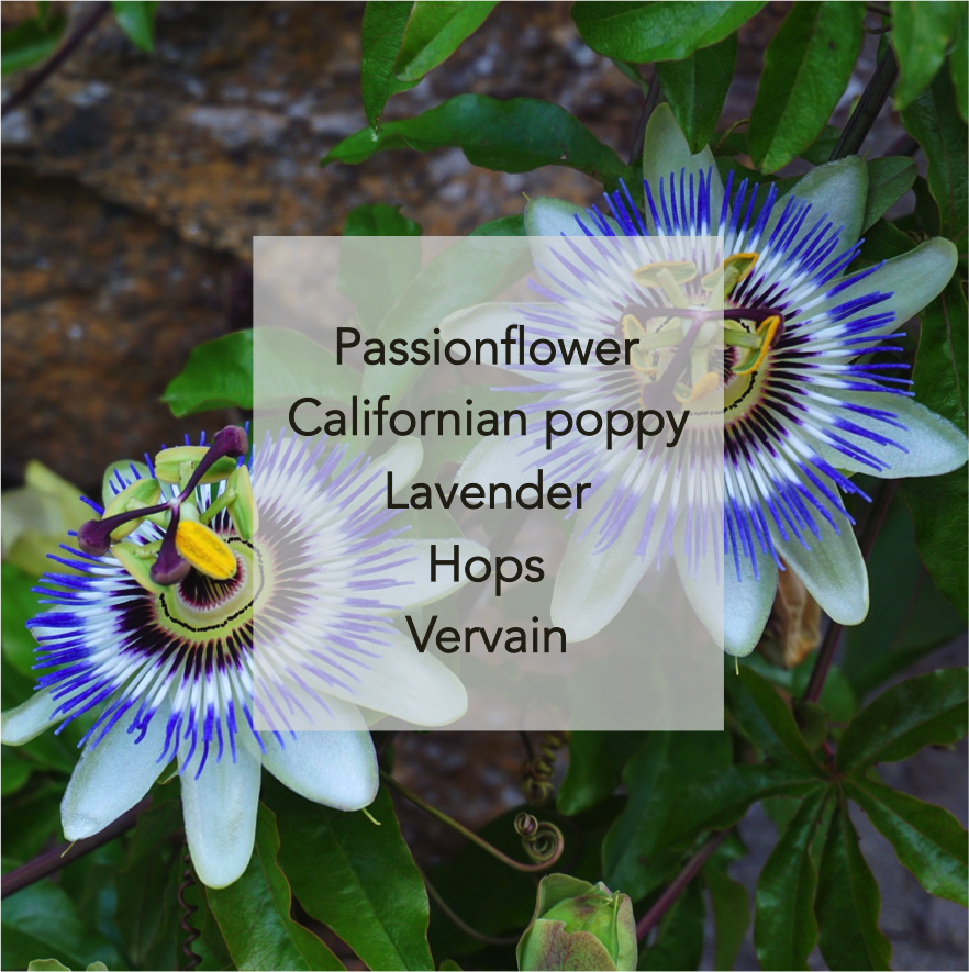 Passionflower.png