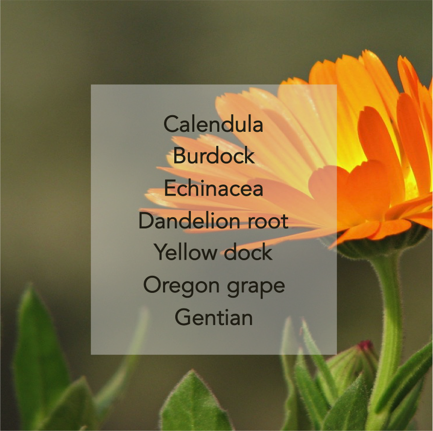 Calendula.png