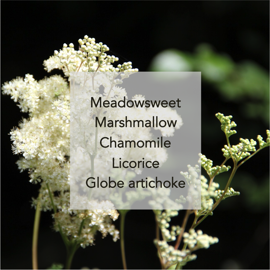 Meadowsweet.png