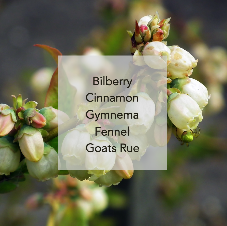 Bilberry.png