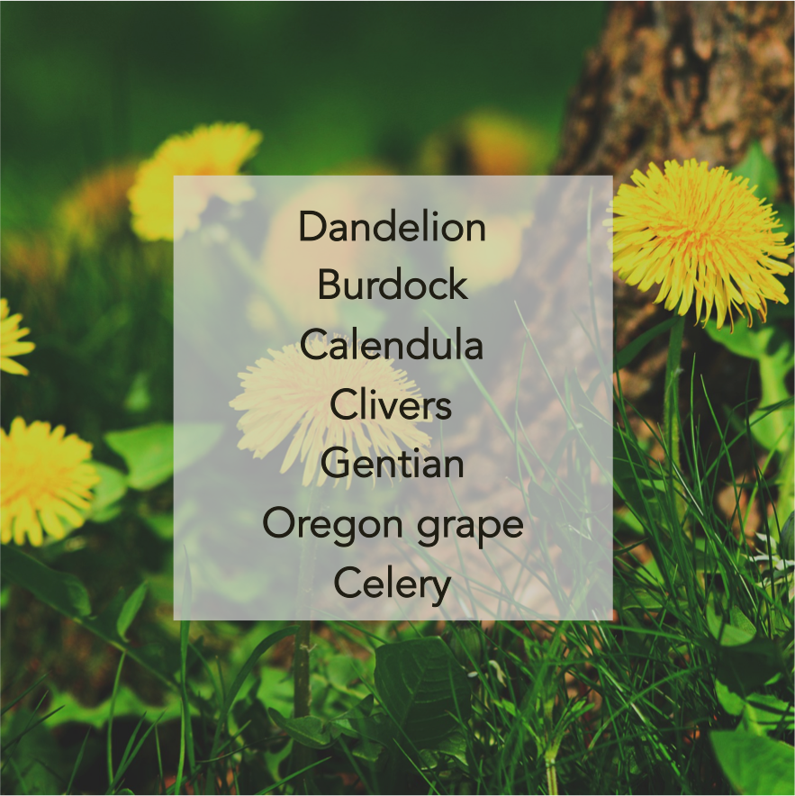 Dandelion.png