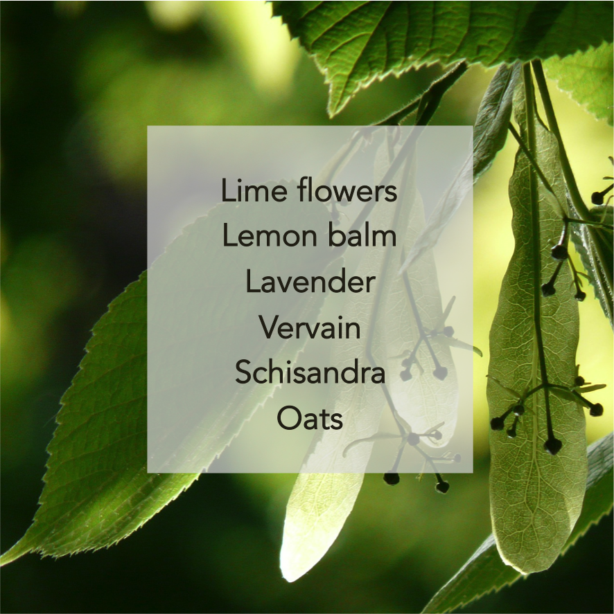 Tilia.png