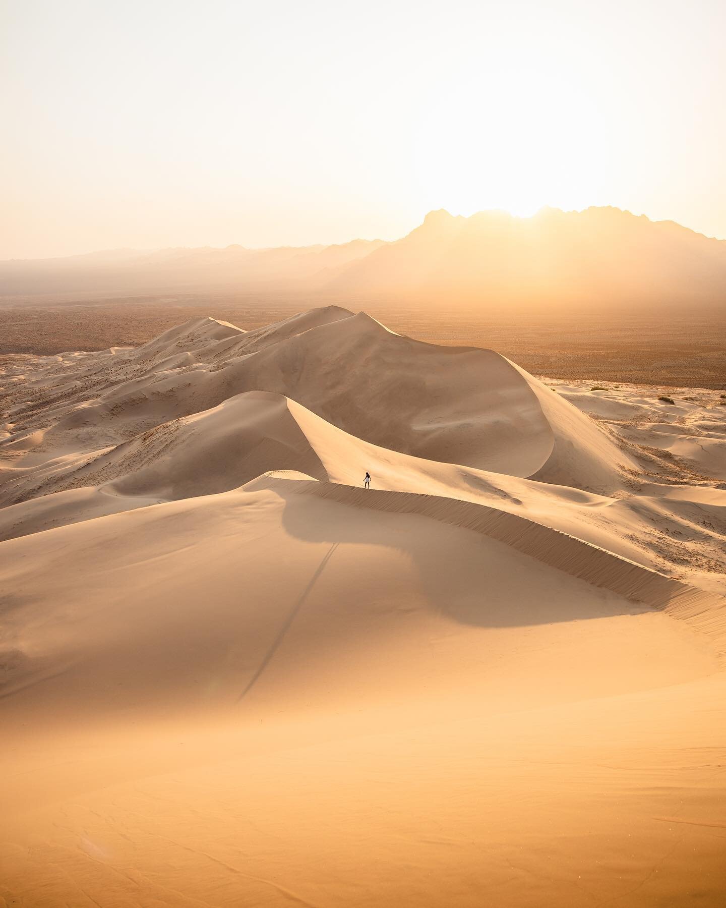 Escaped into the desert 🐪