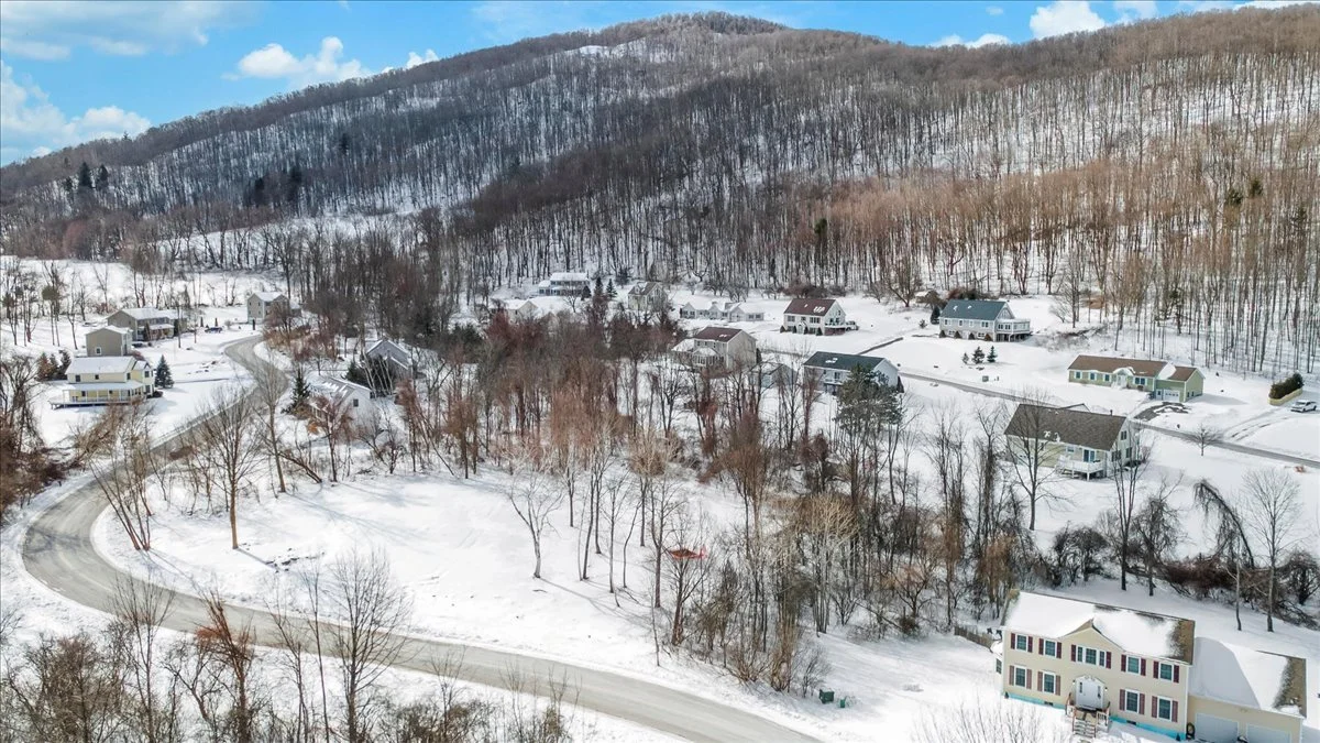 Snow-covered residential neighborhood with houses, leafless trees, a winding road, and a wooded hillside in the background.