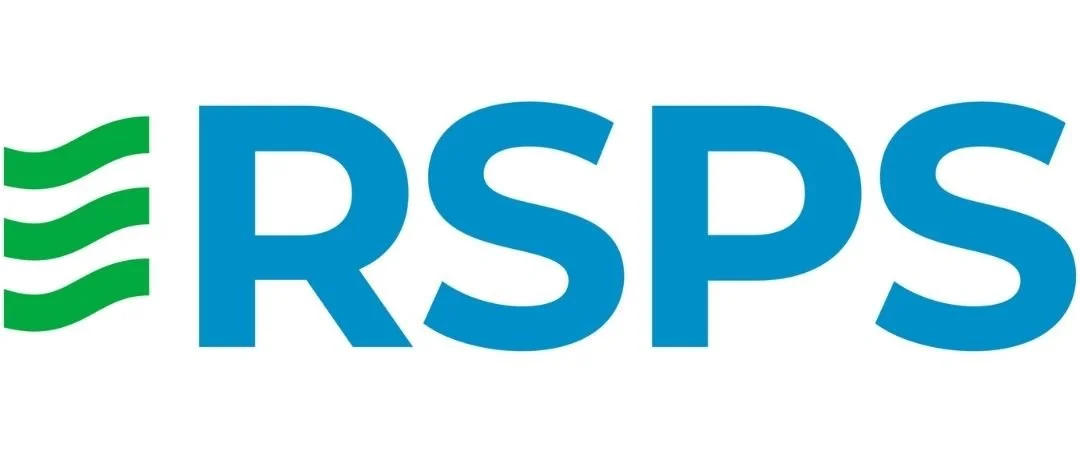 RSPS logo with three green wavy lines on the left and blue letters RSPS on the right.