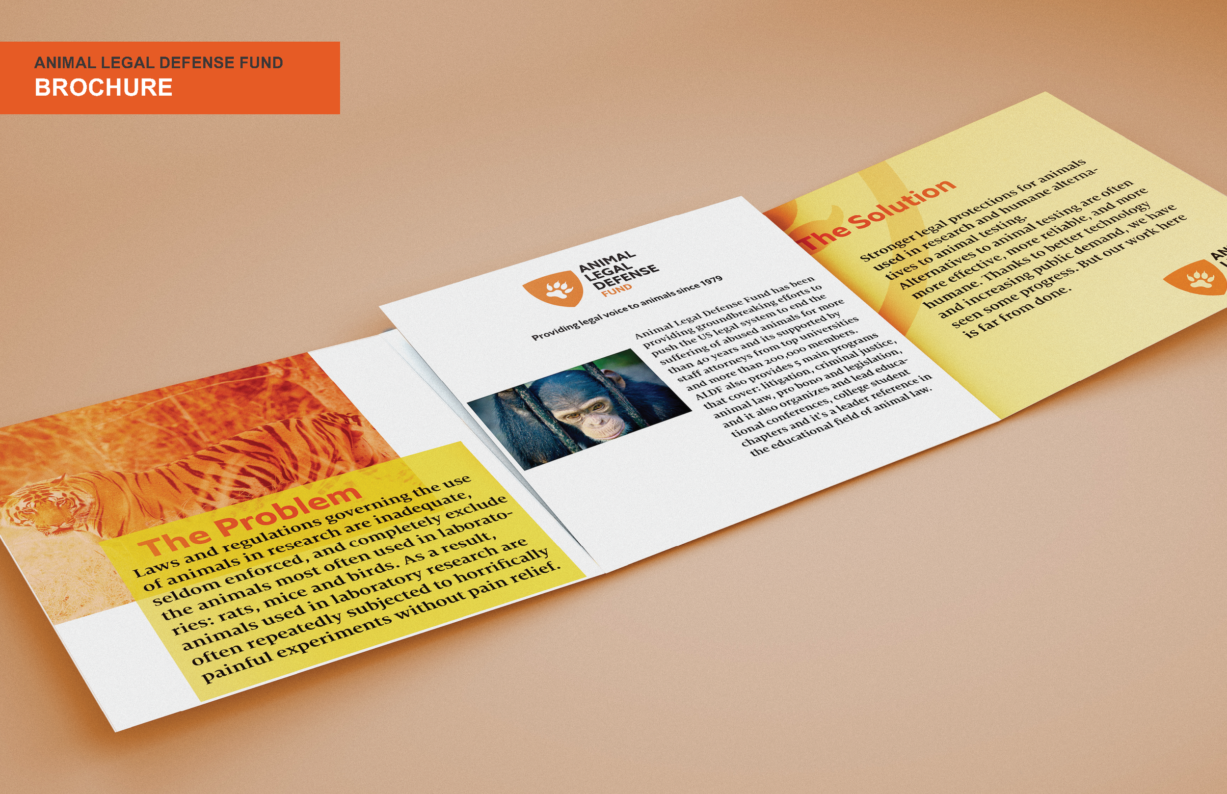 AnimalLegalDefenseFund_PayalSalot&GenesisGoertz__FinalPresentationRevised06.20.2020_Page_25.png