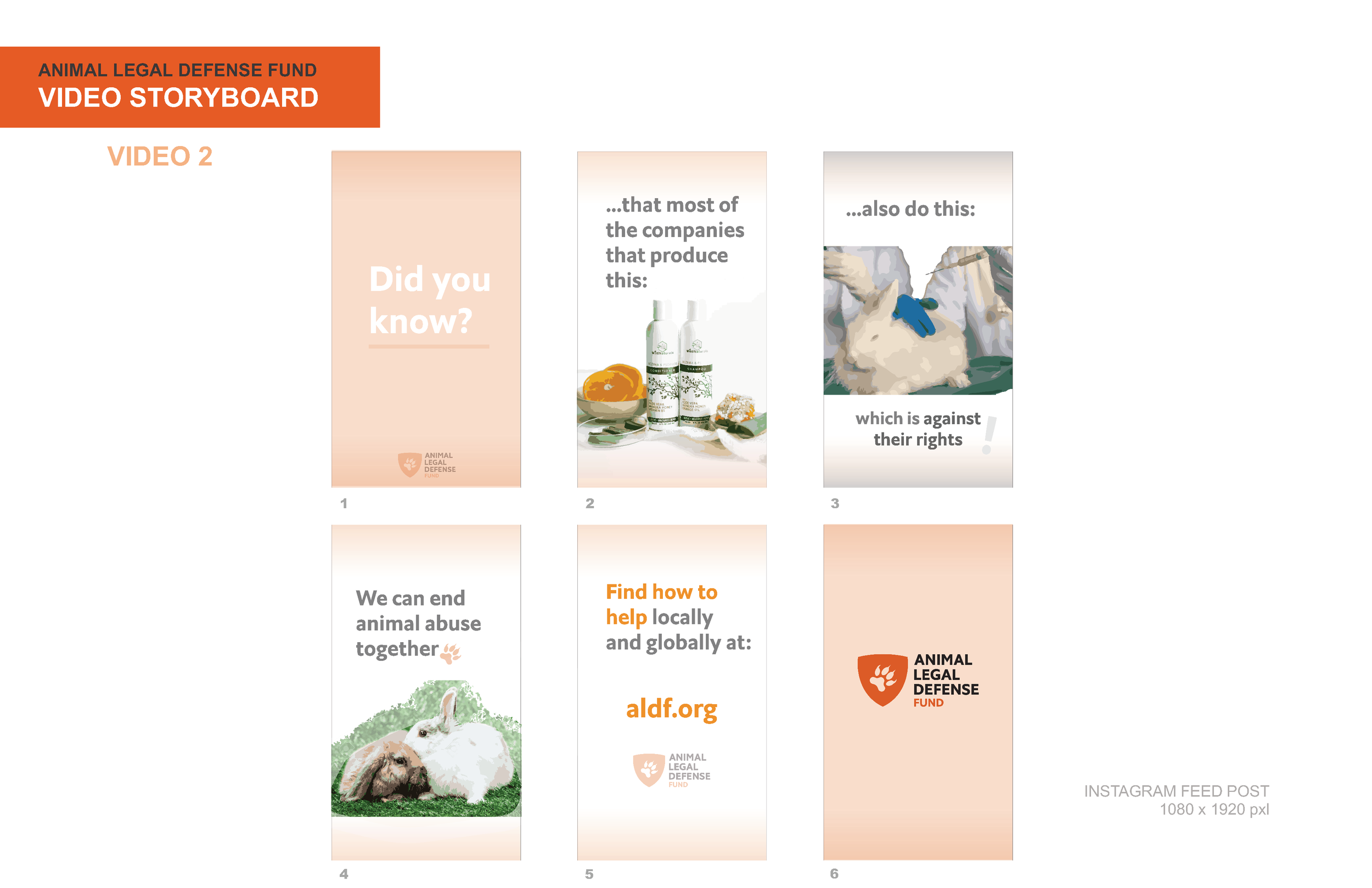 AnimalLegalDefenseFund_PayalSalot&GenesisGoertz__FinalPresentationRevised06.20.2020_Page_47.png
