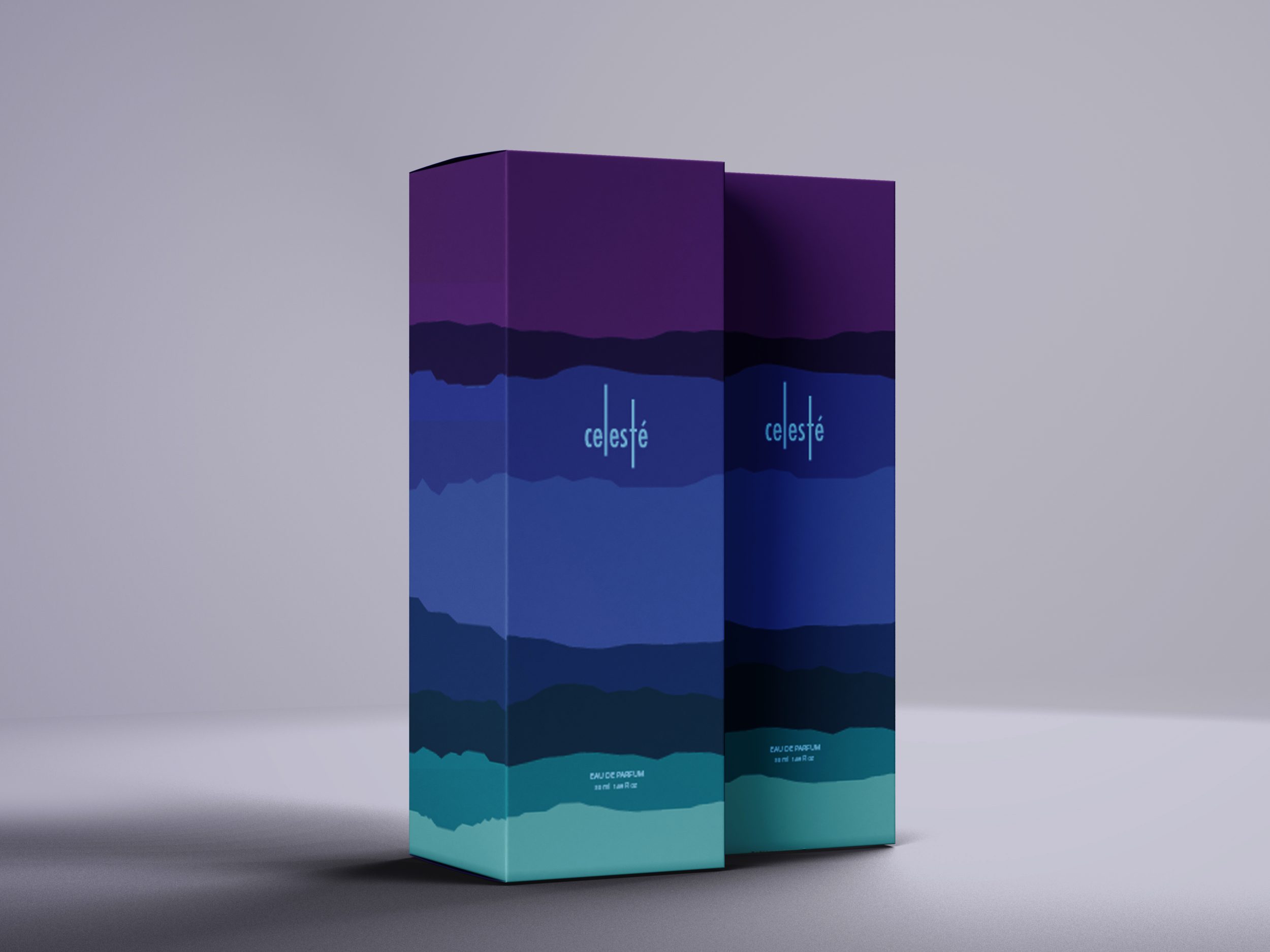 perfume box_.png