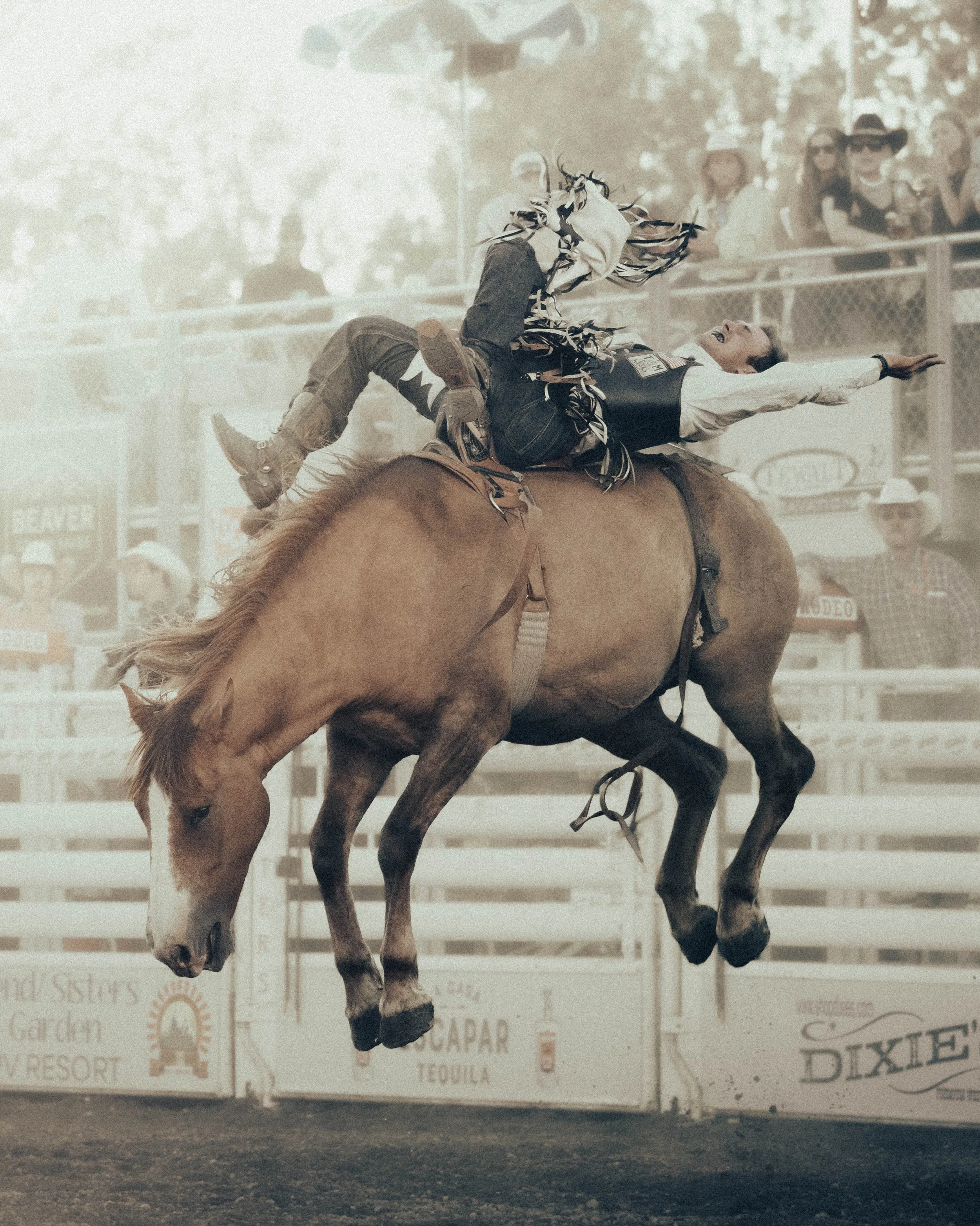 Rodeo 2-3.jpg