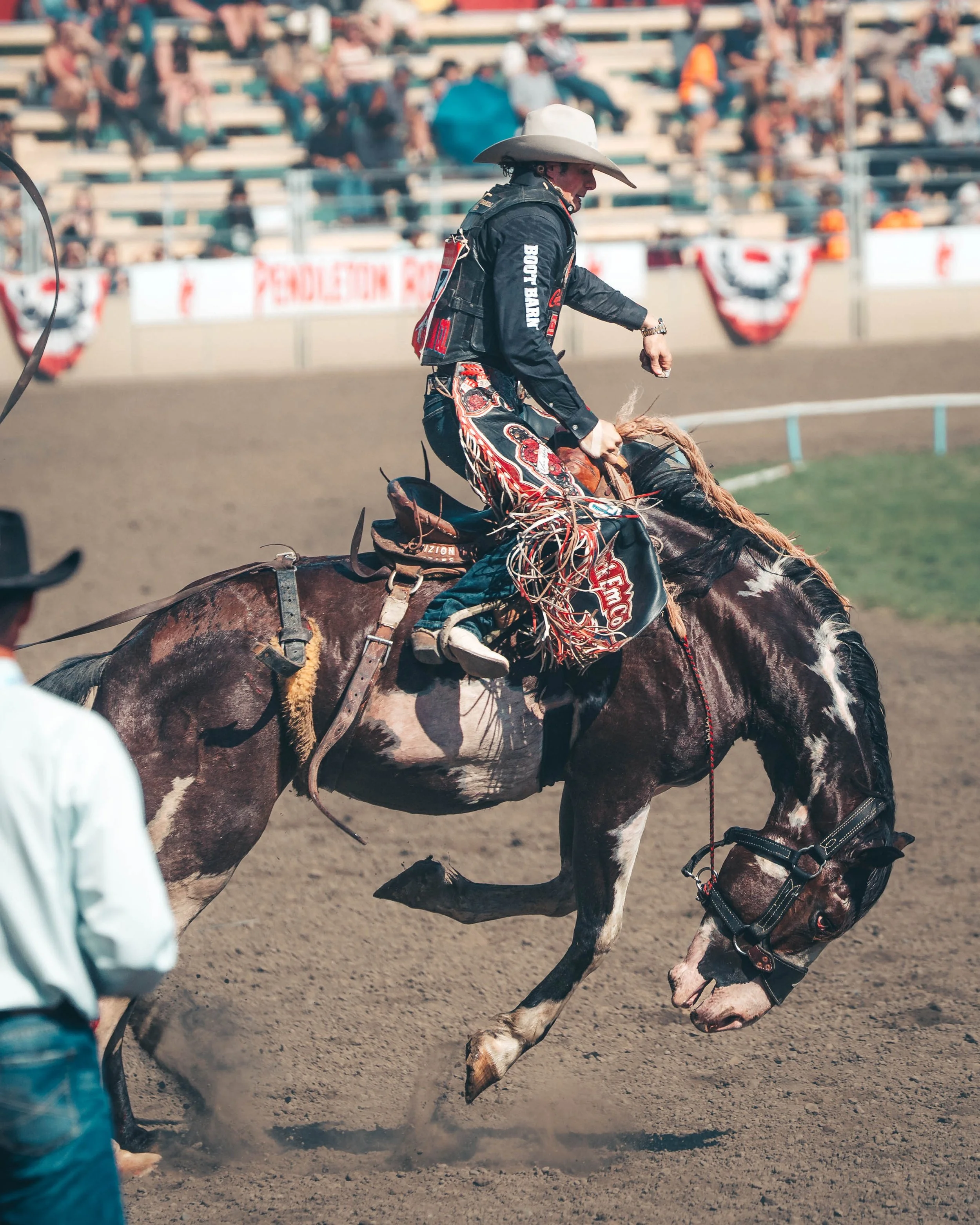 Rodeo 7.jpg