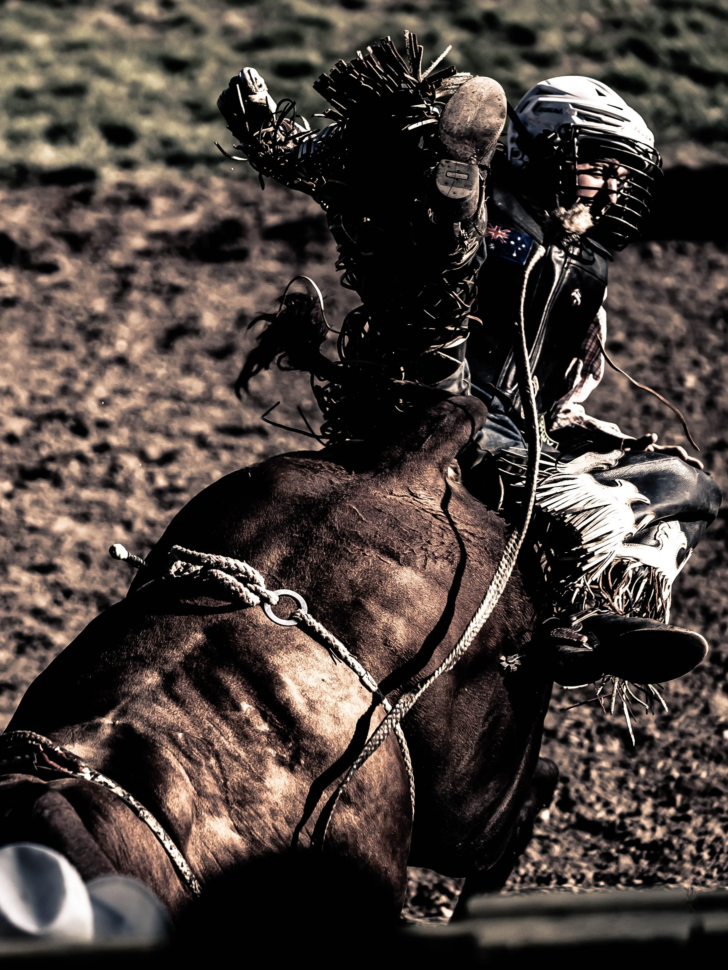 Rodeo 9-9.jpg
