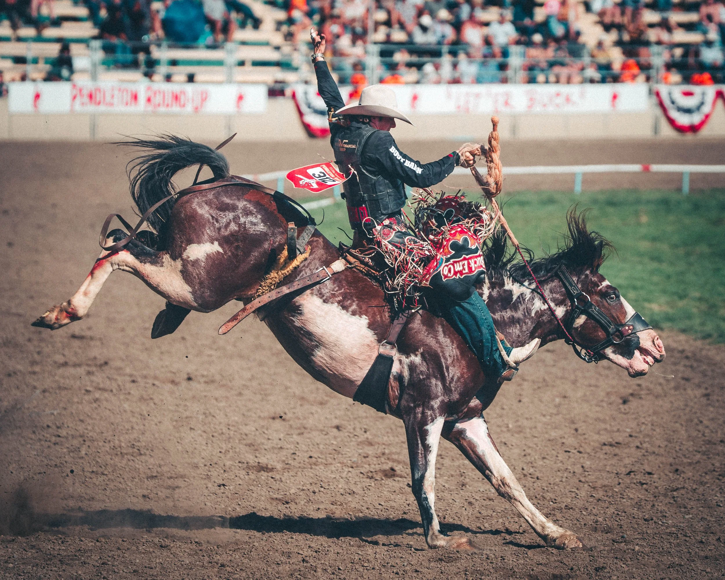 Rodeo 8.jpg