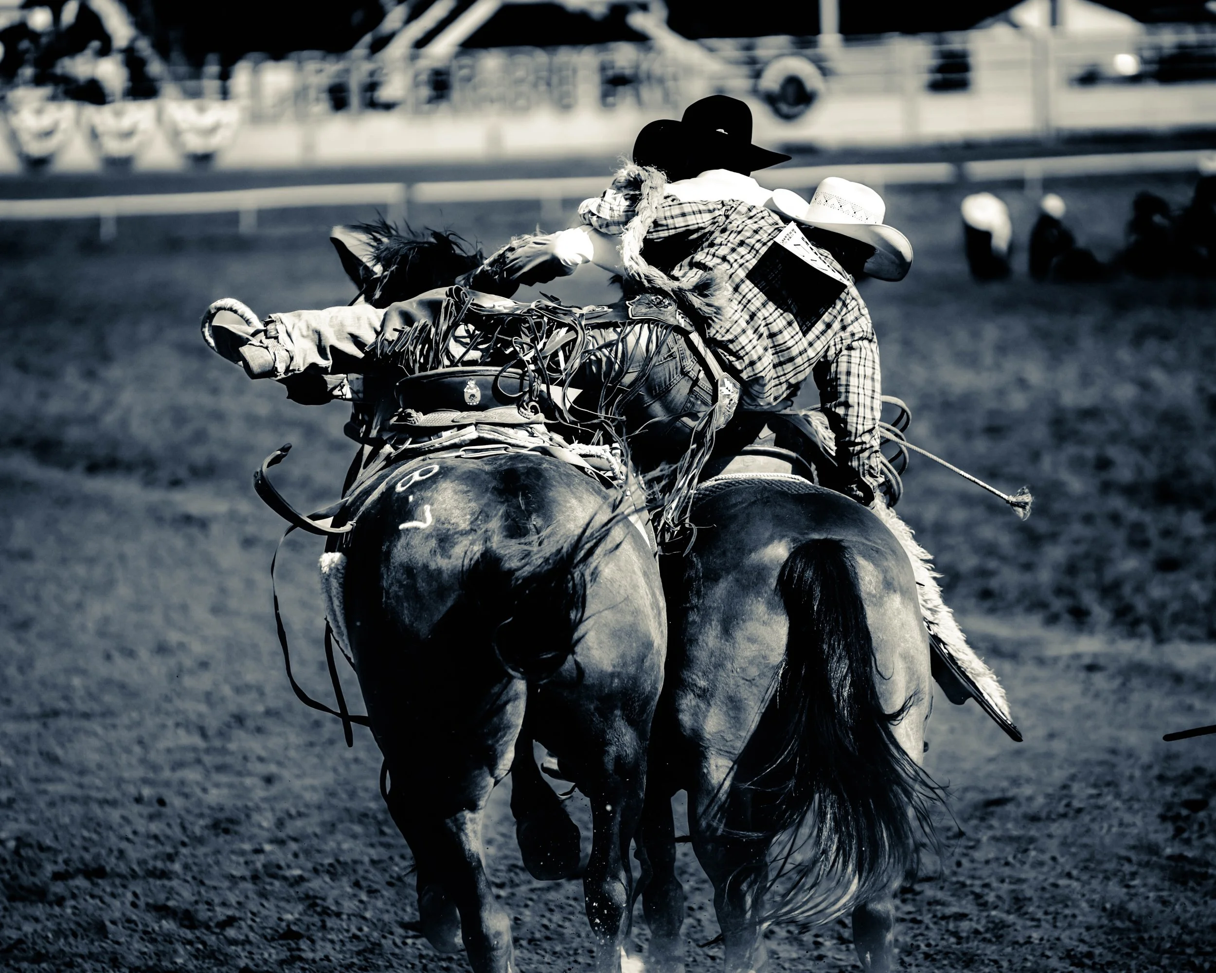 Rodeo 9-11.jpg