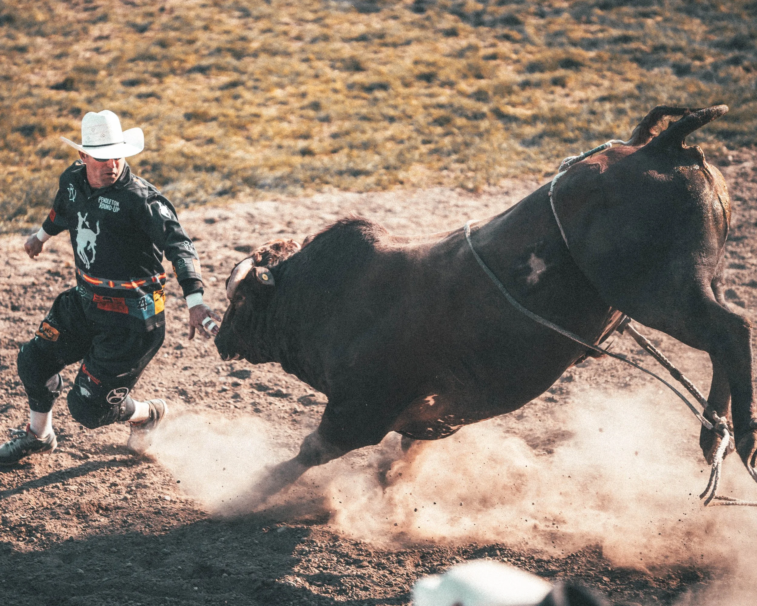 Rodeo 9-4.jpg