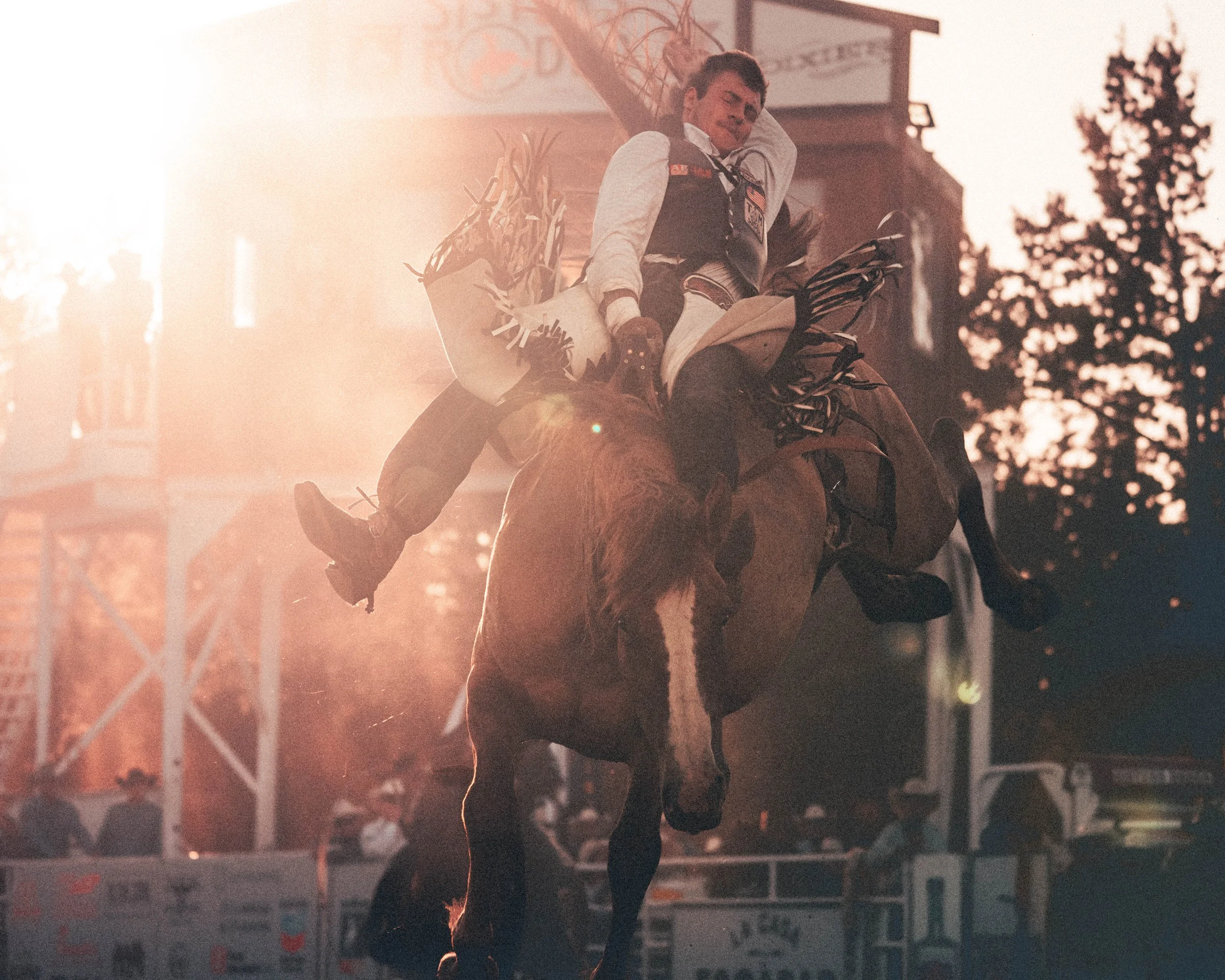 Rodeo 4.jpg