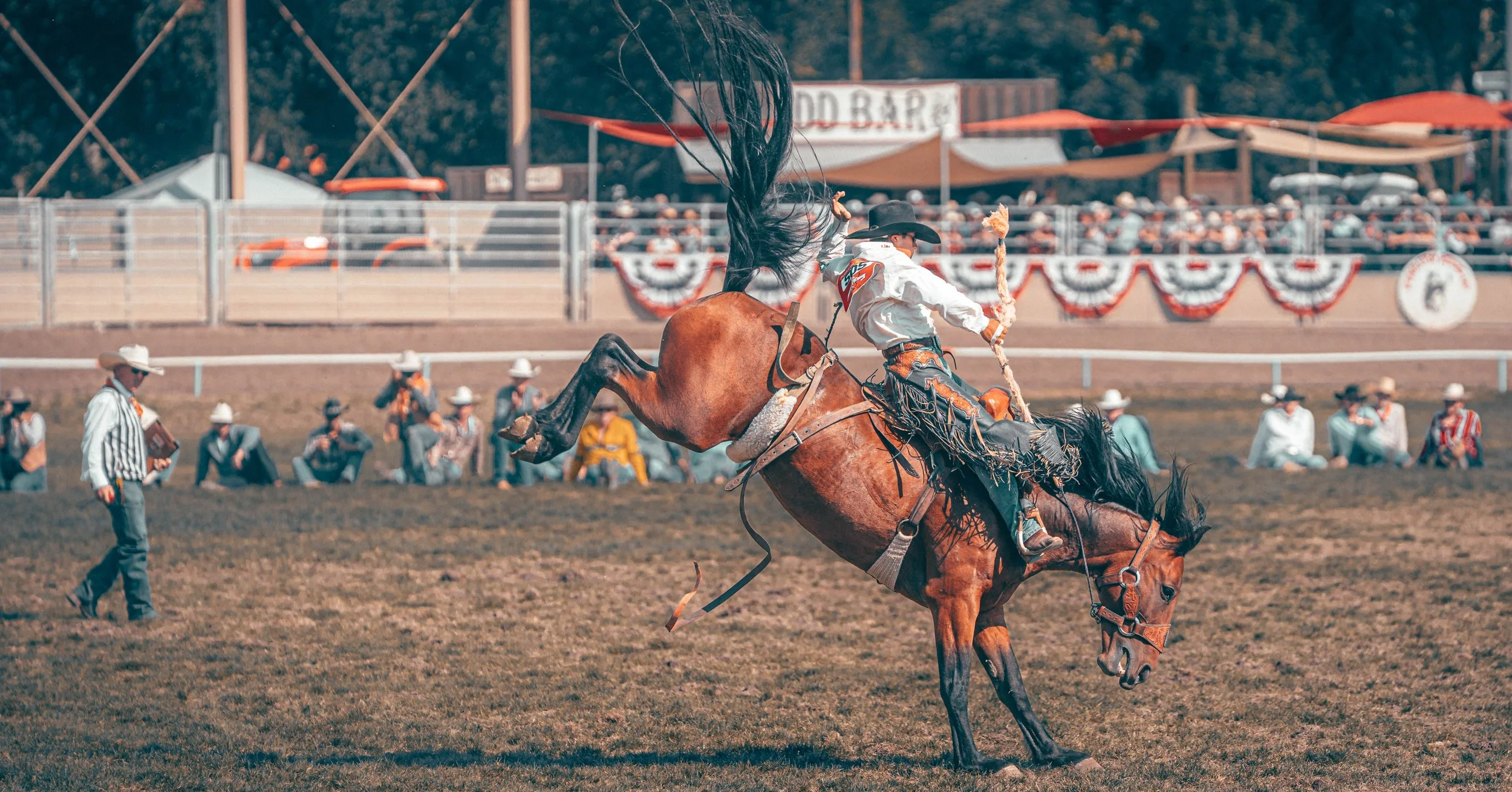 Rodeo 6.jpg