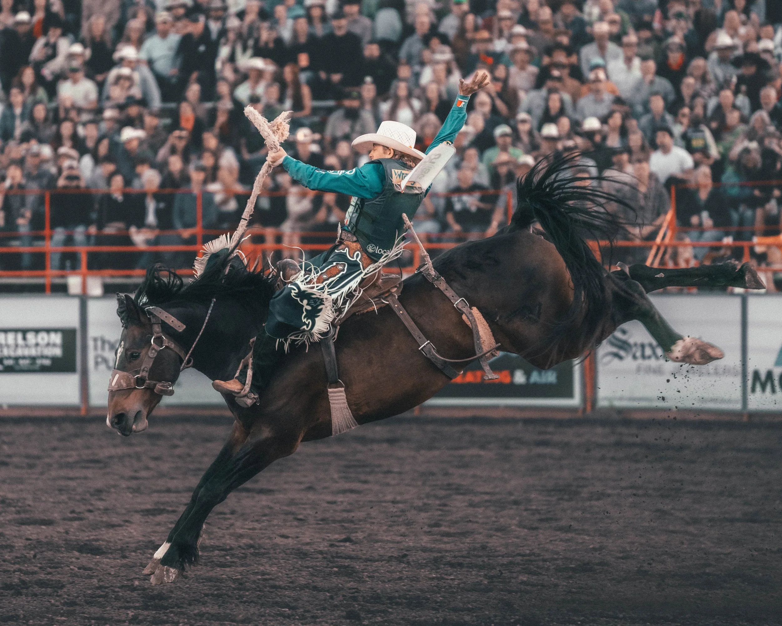 Rodeo 5-2.jpg