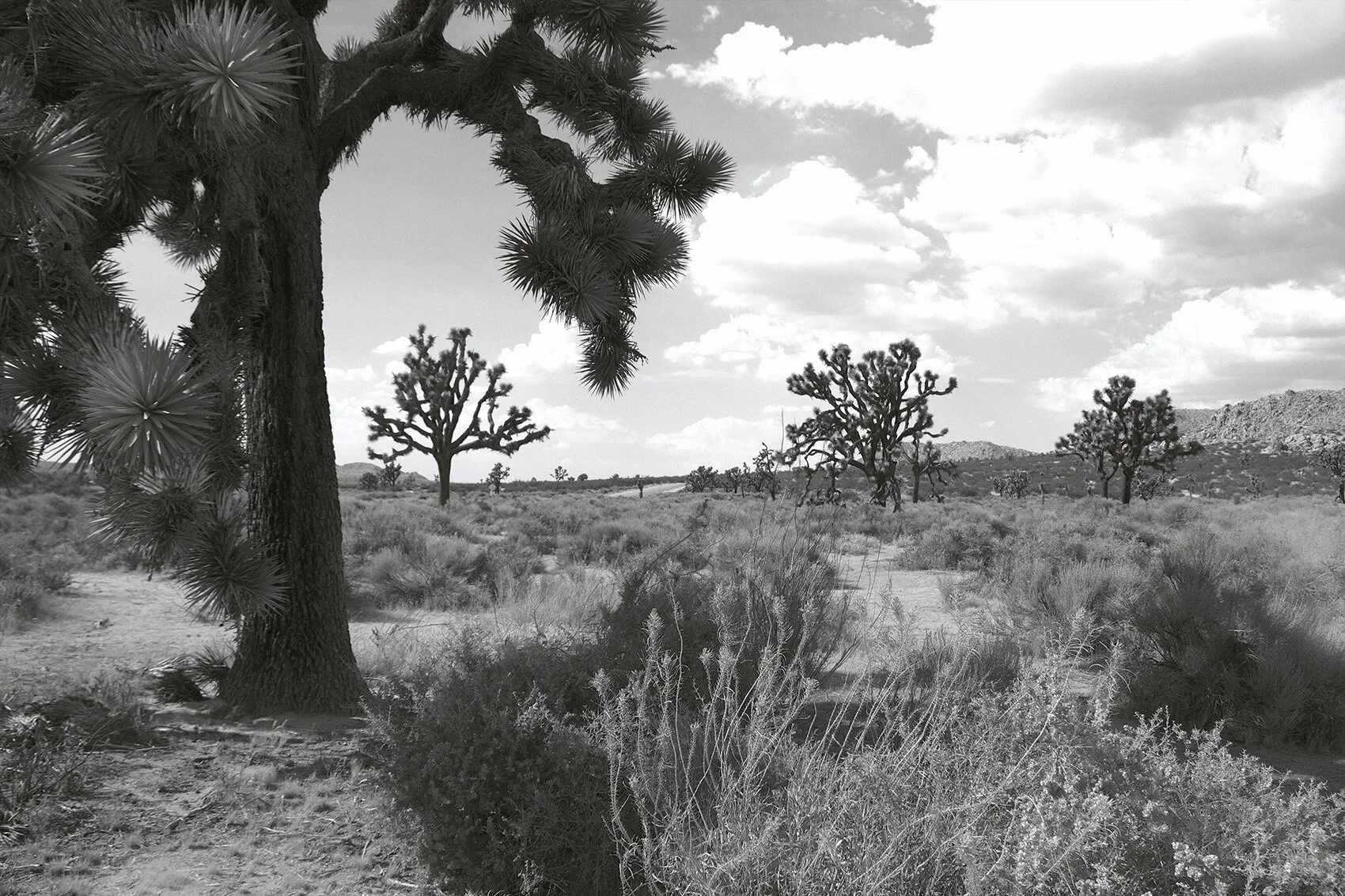 bw-035.jpg