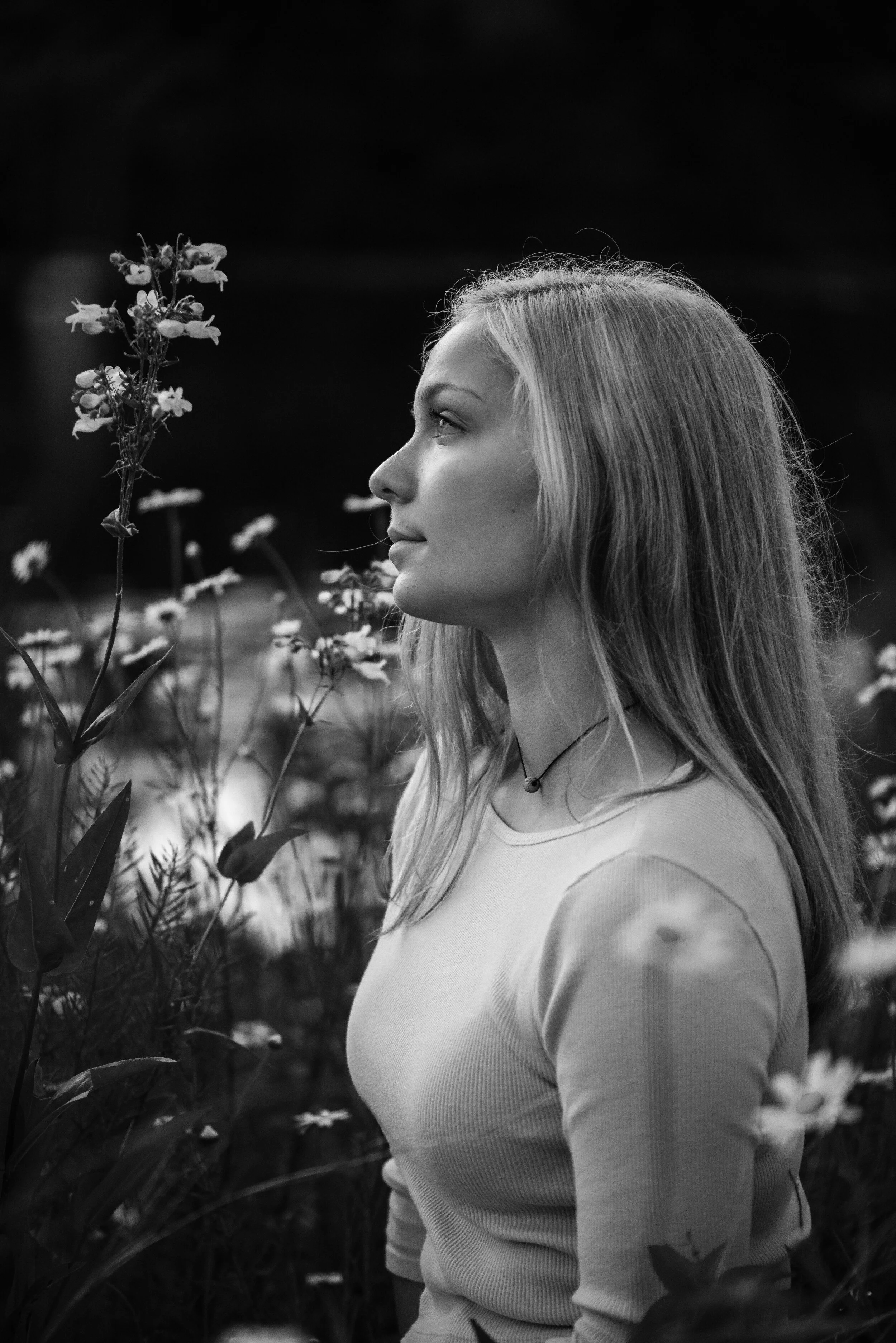 Pancini20190618__DSC2594-Edit.jpg