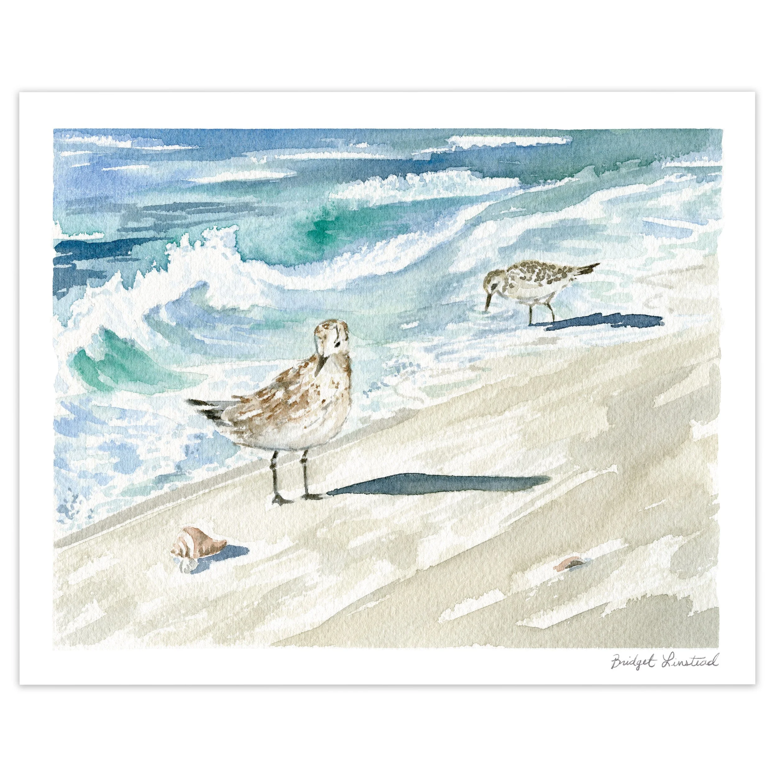 Sandpipers-02.jpg