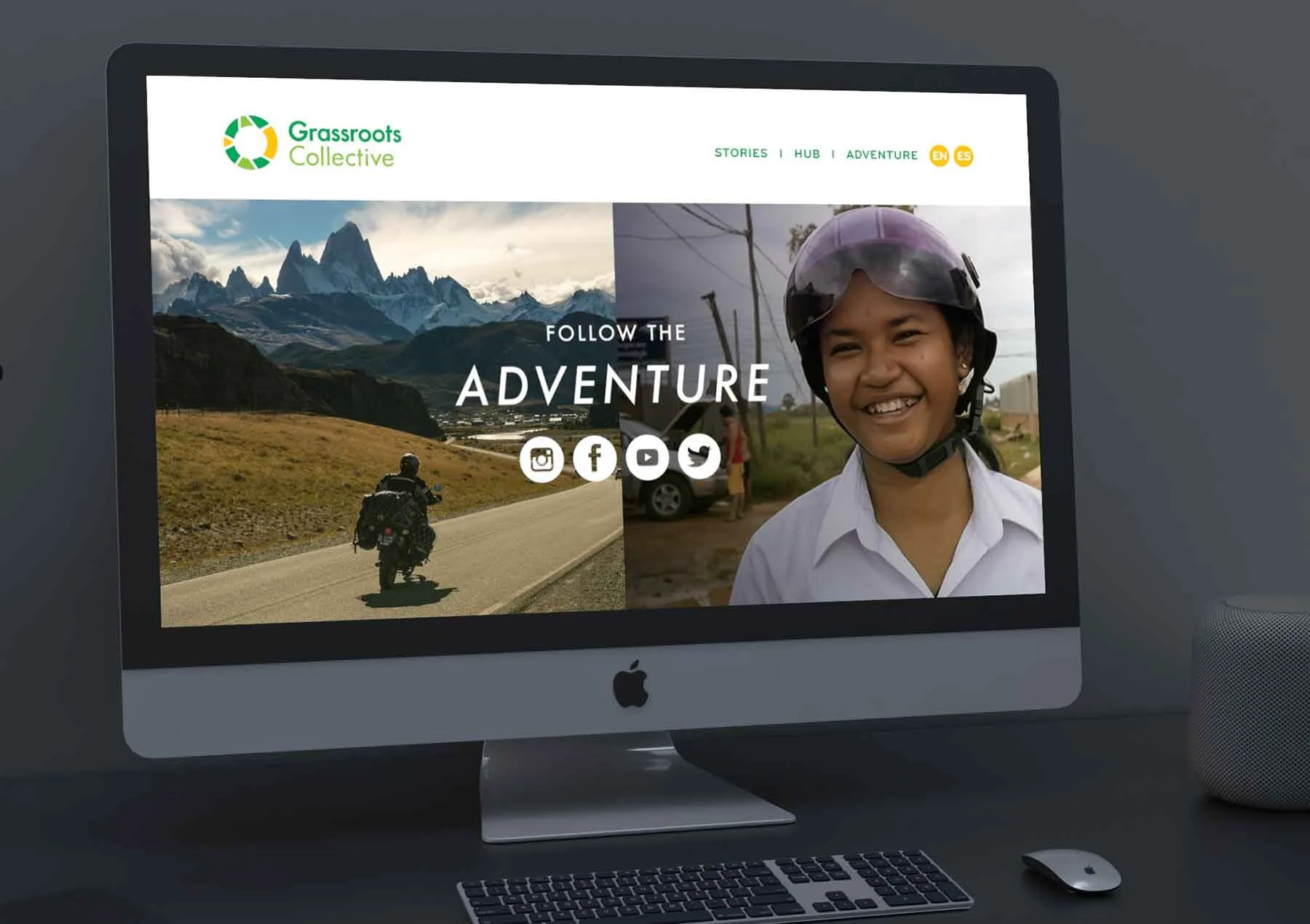 Professional Web Design Service
