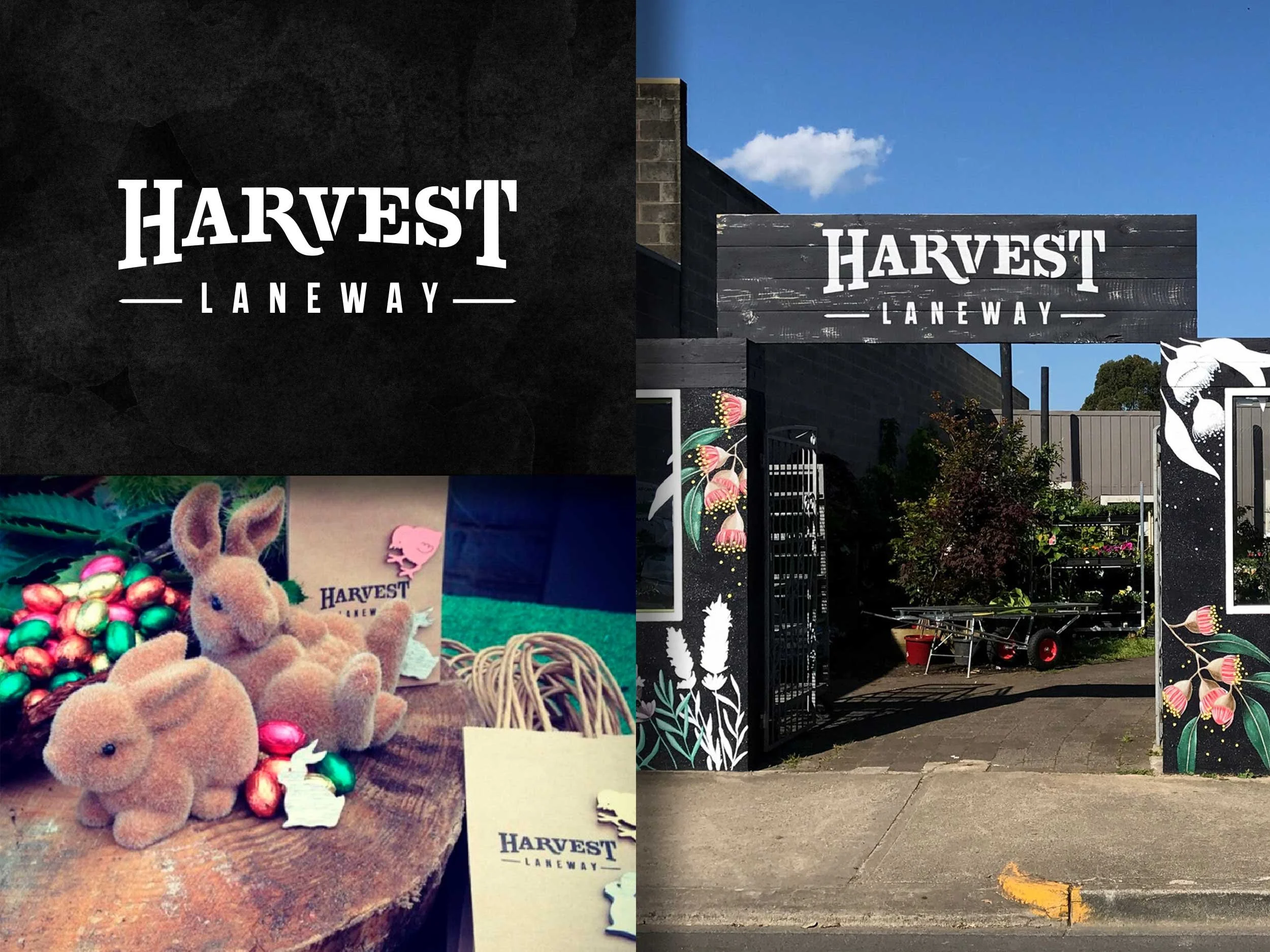 Harvest Laneway →