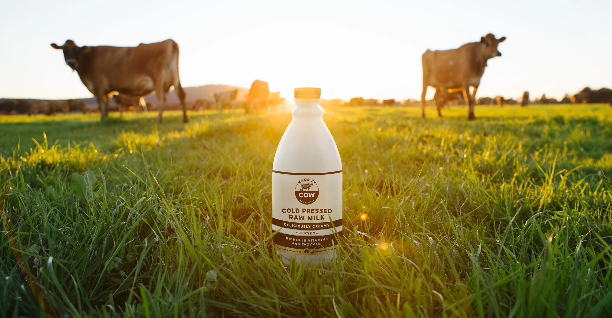MBC_Field_IMAGE-1_Jersey_Squarespace.jpg