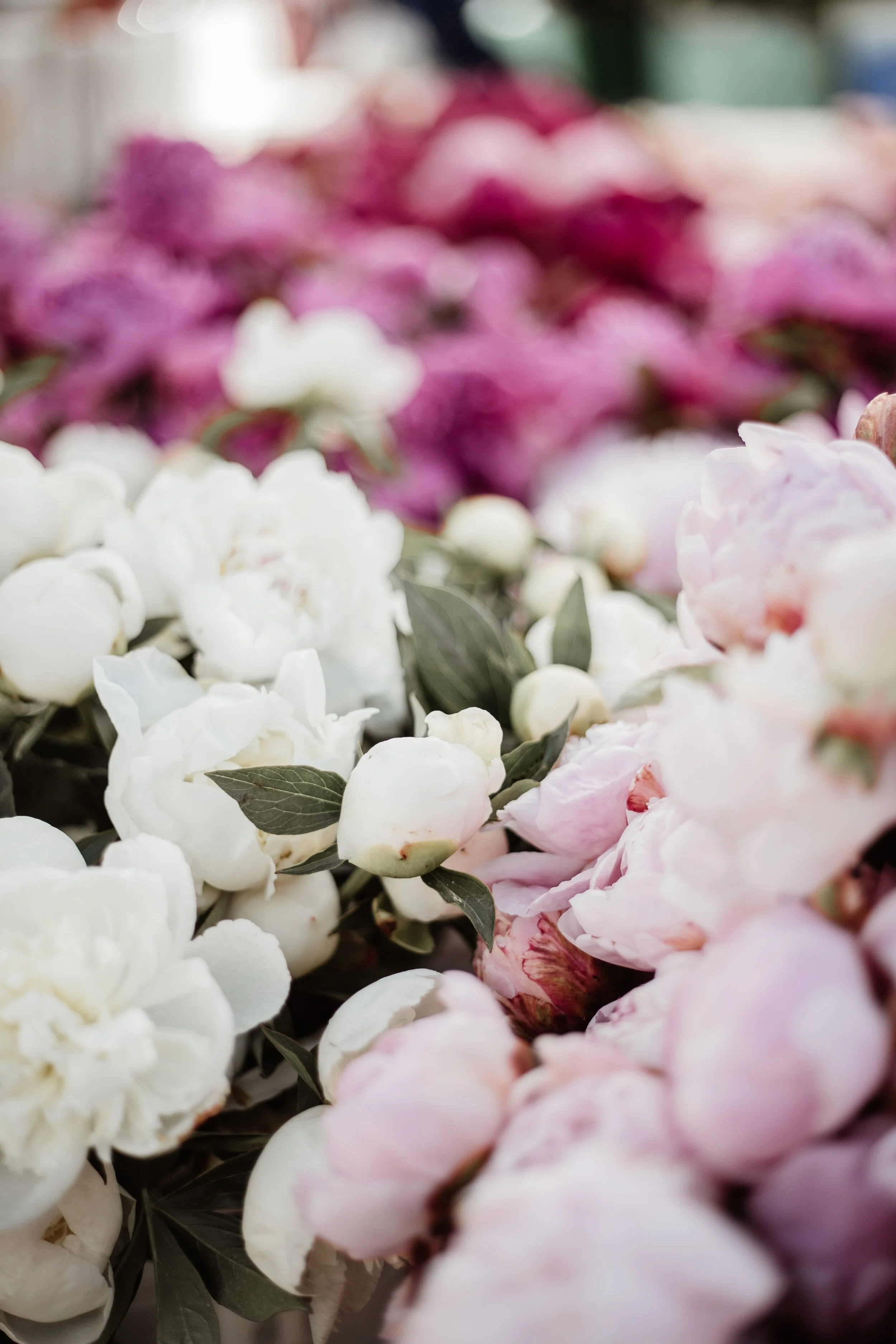 About Us Hmong Flower Farmers Of Washington