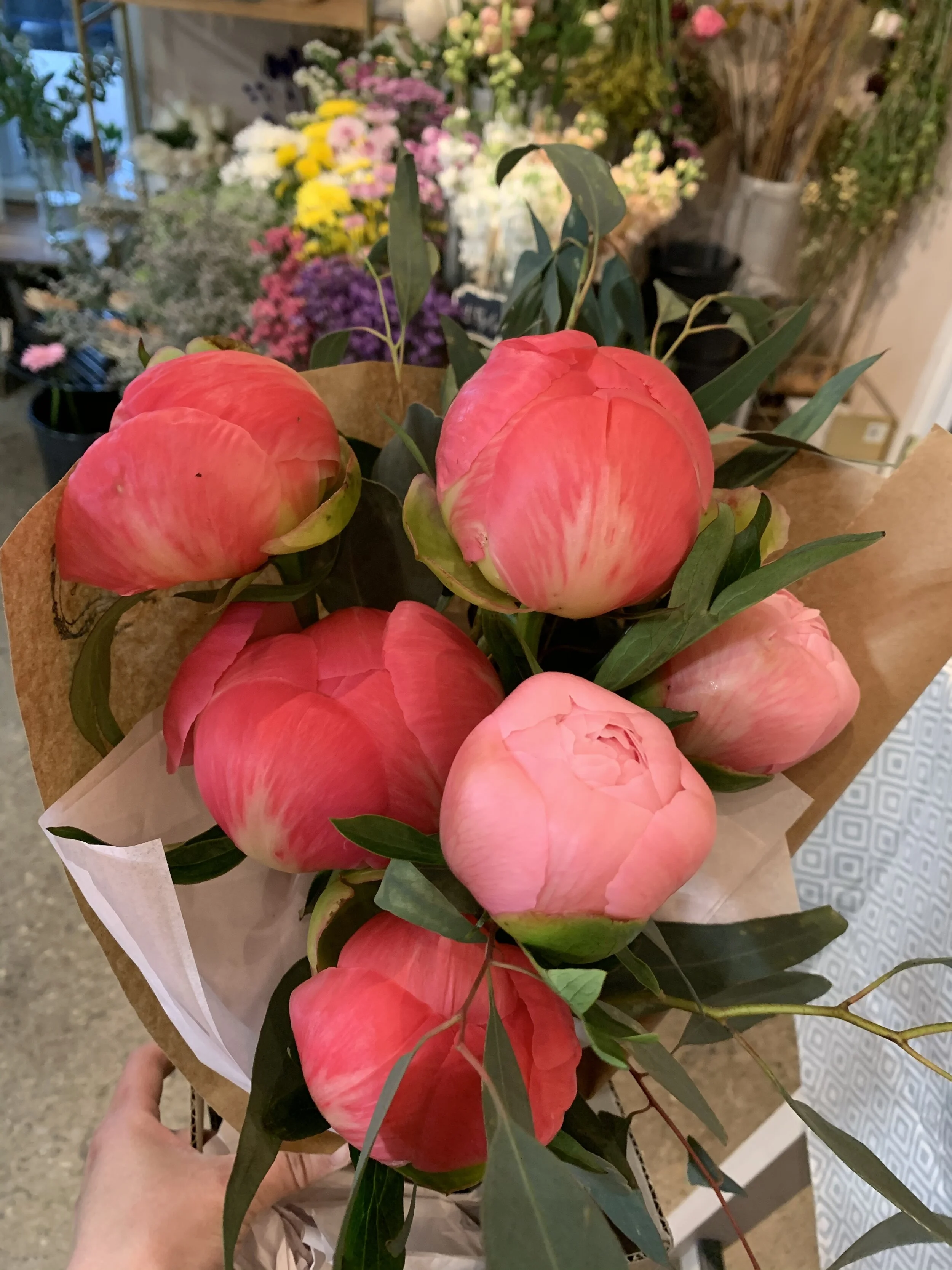 7D16B495-2896-403F-B48E-309B8B0045D8