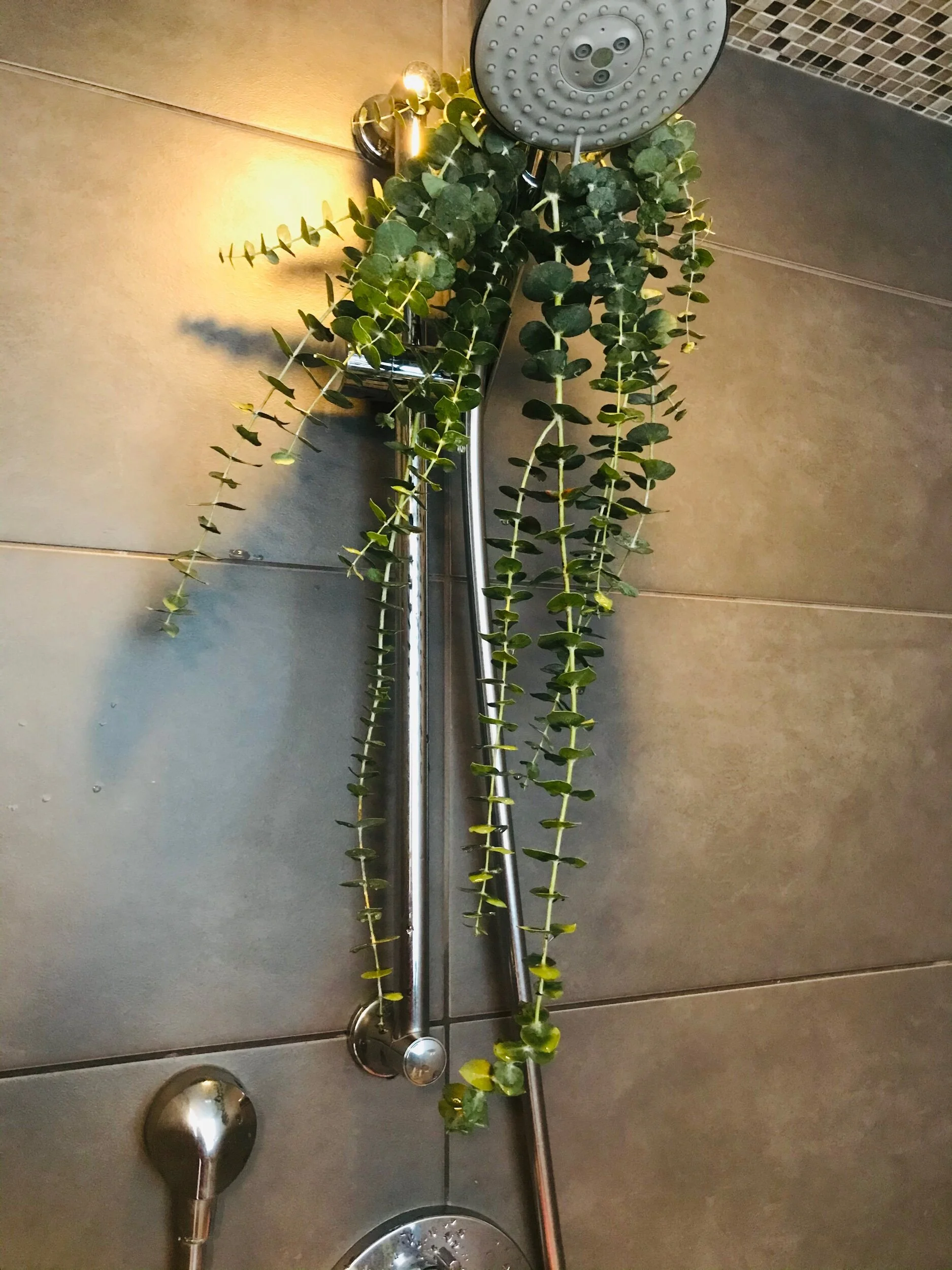 35A1FF82-BC78-42C6-809B-D06E8C8C0498