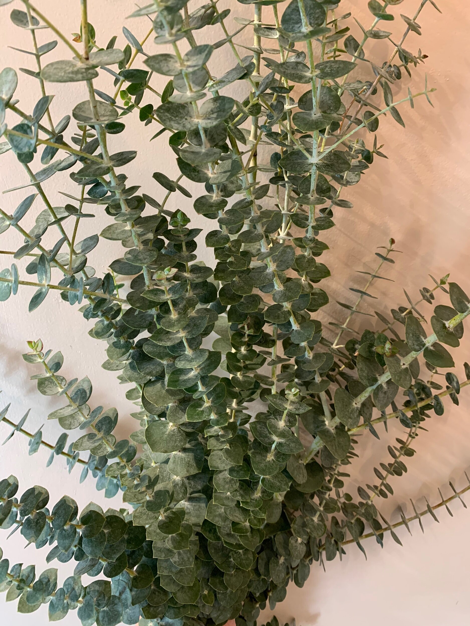 BAC46E7D-0EA9-4758-A21B-059C9579C344