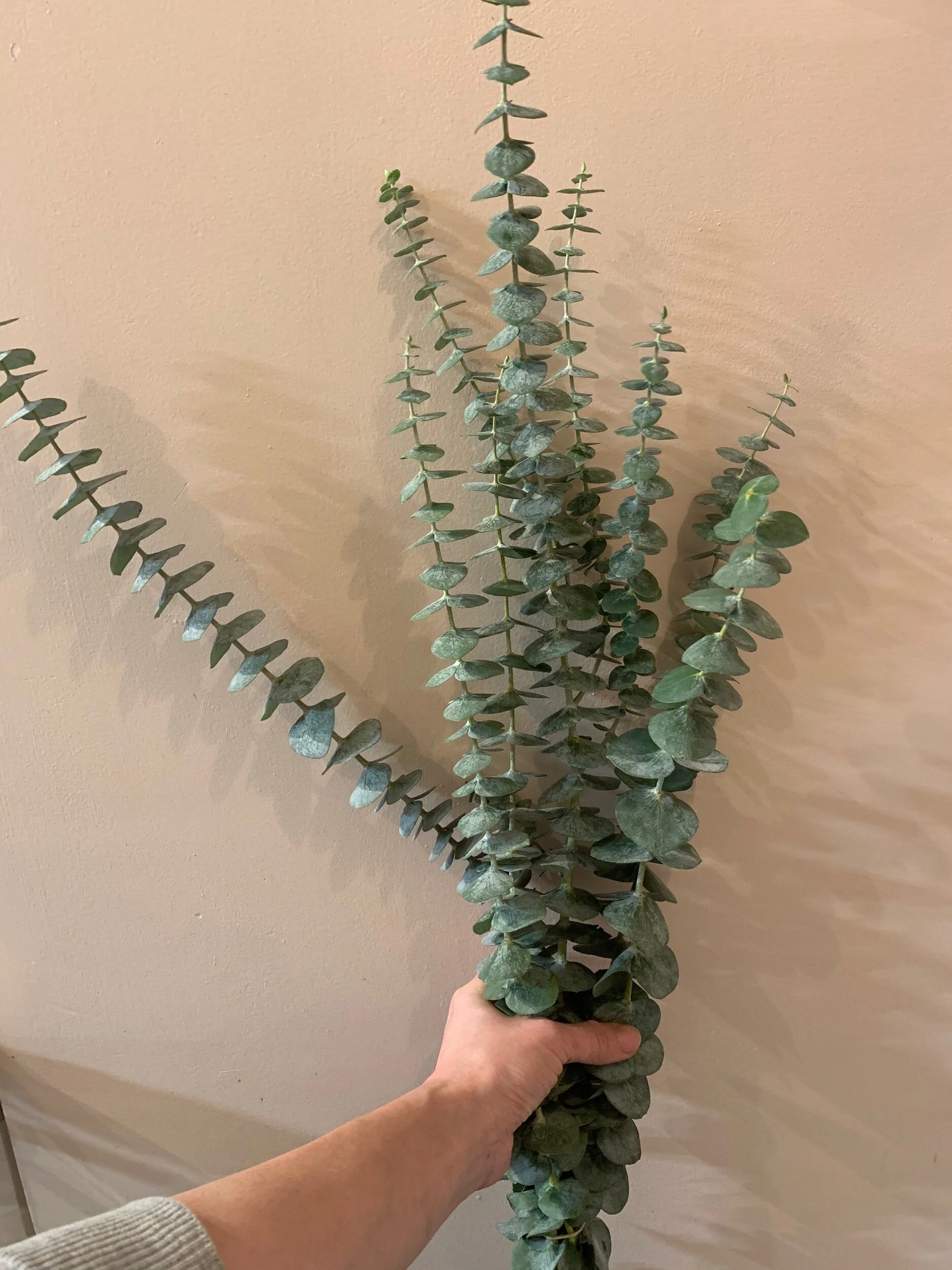 08F8630B-C1A0-4AF9-8A48-54ADF9488C83