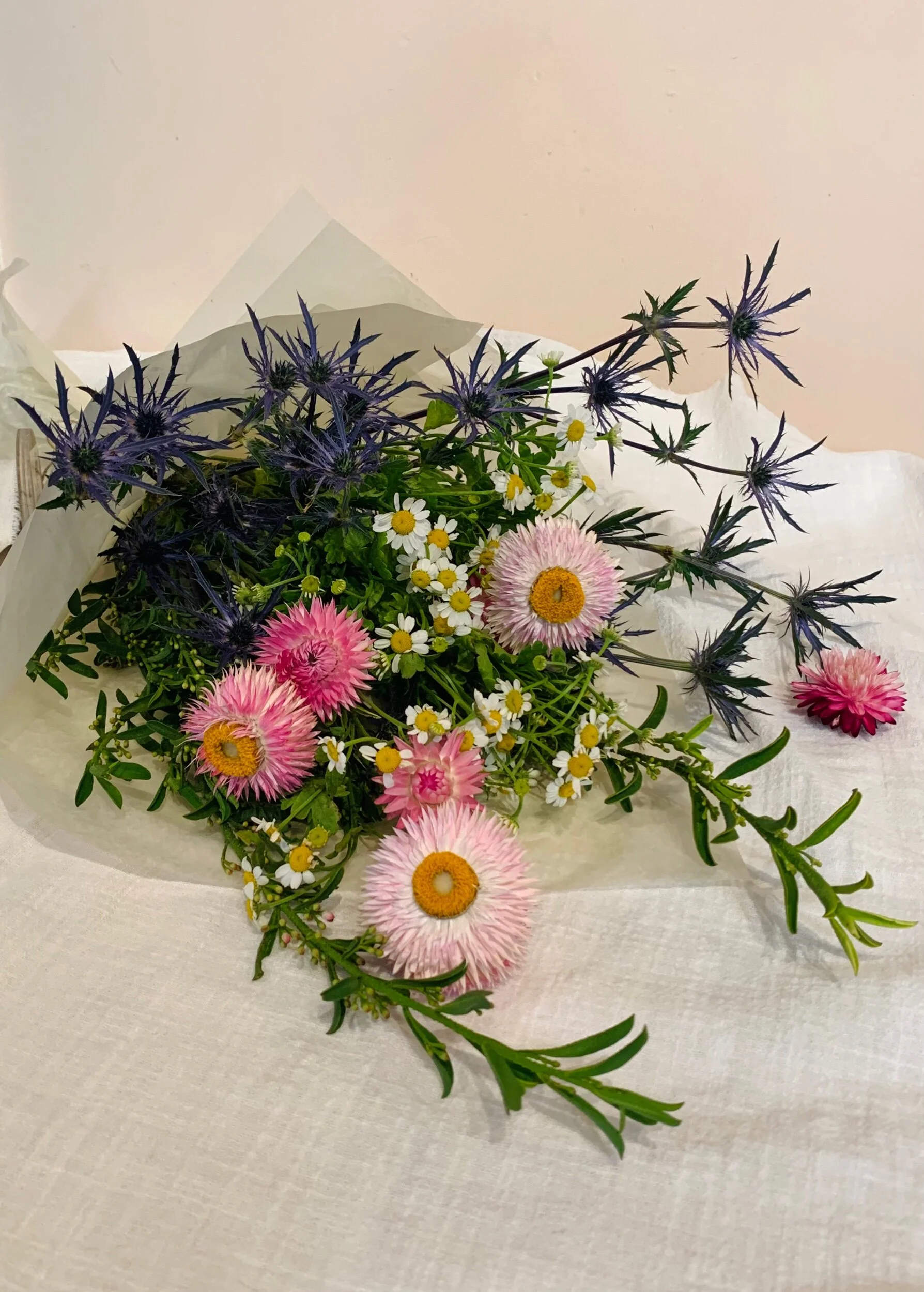 26289511-B060-4355-933B-2F4B5DA7C738