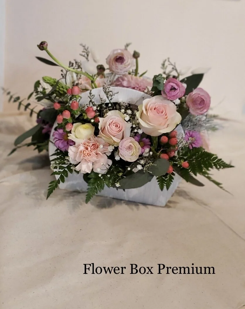 6447D760-DC6C-4FC7-922B-A16862E9726F