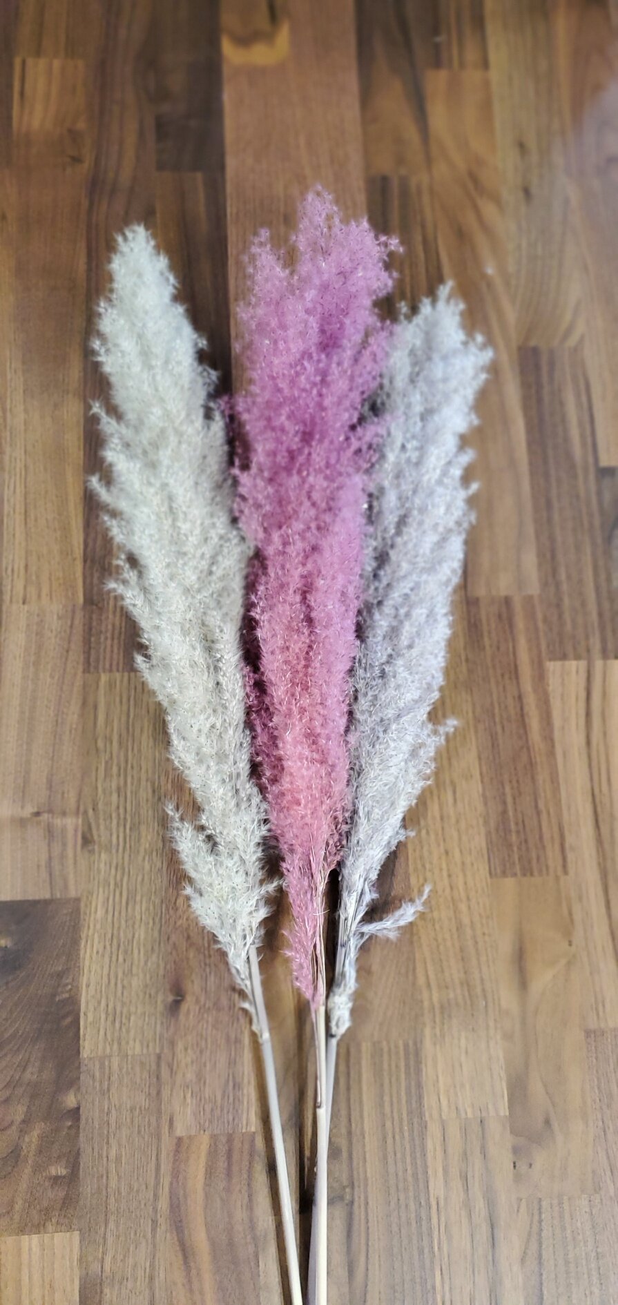 F4A6DA9C-0060-415C-B9F7-38A3F9B63D02